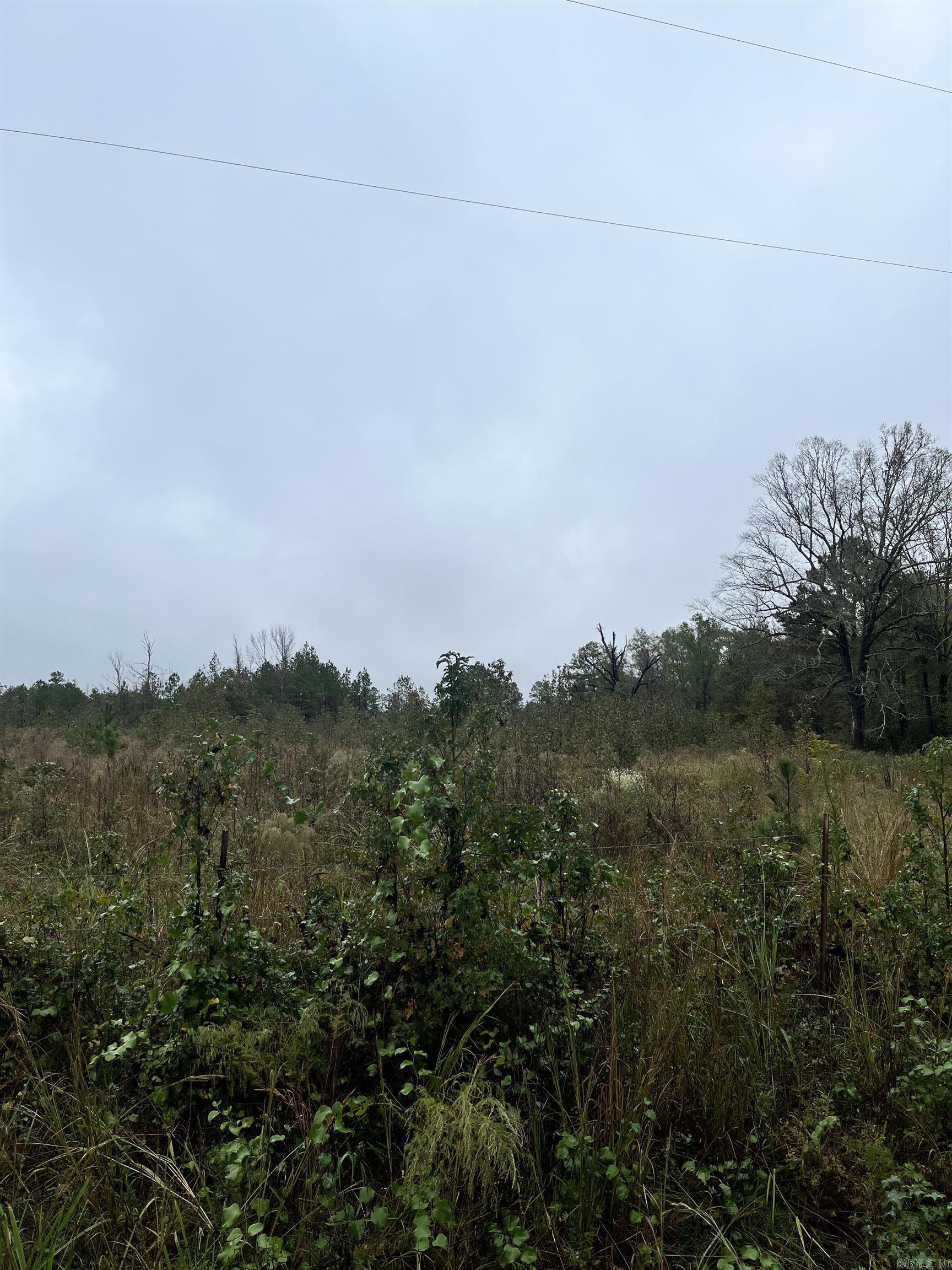 TBD  Grant County 4  Leola, AR