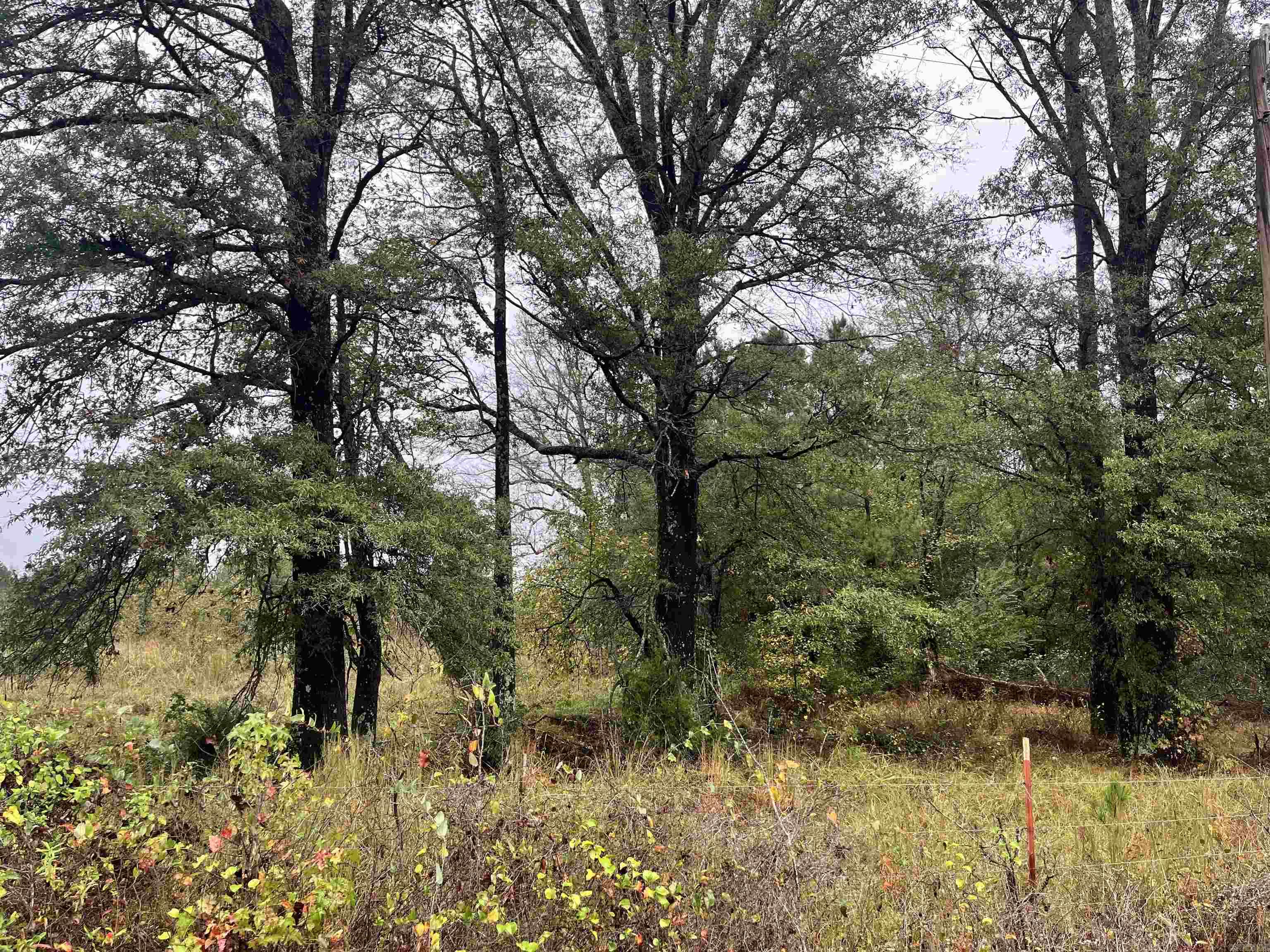 TBD  Grant County 4  Leola, AR