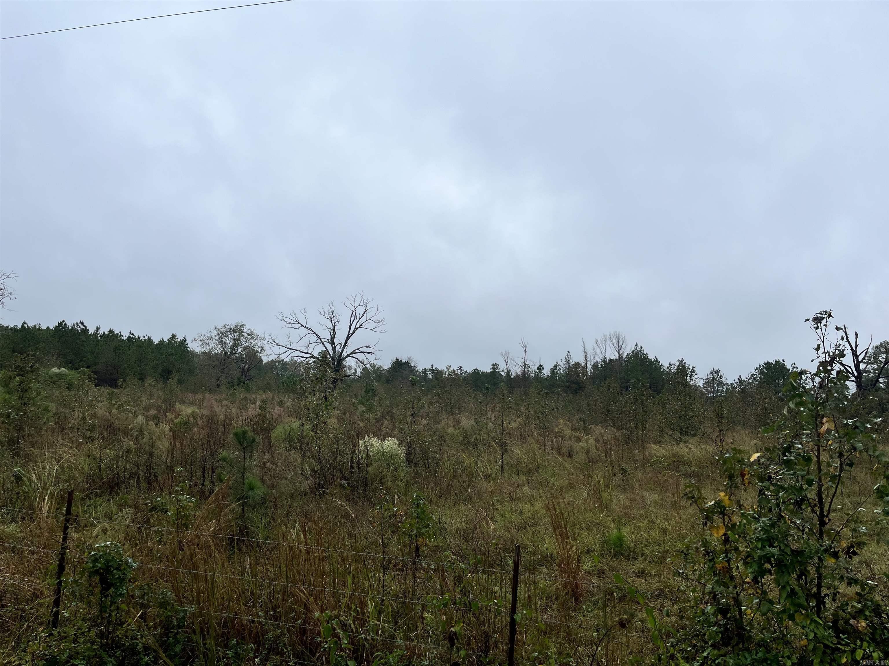 TBD  Grant County 4  Leola, AR