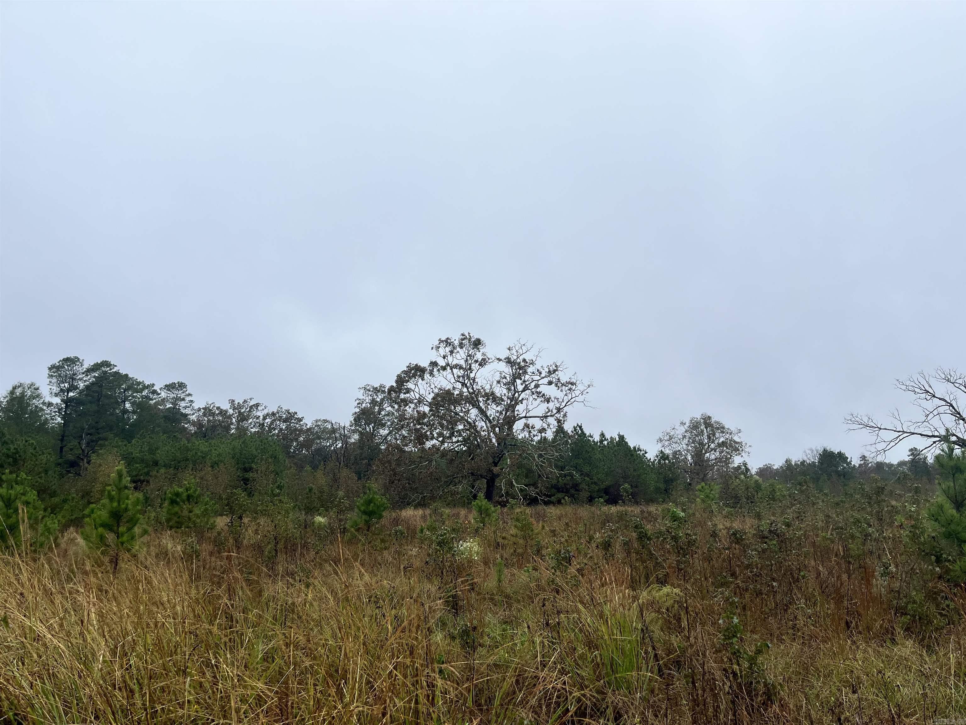TBD  Grant County 4  Leola, AR