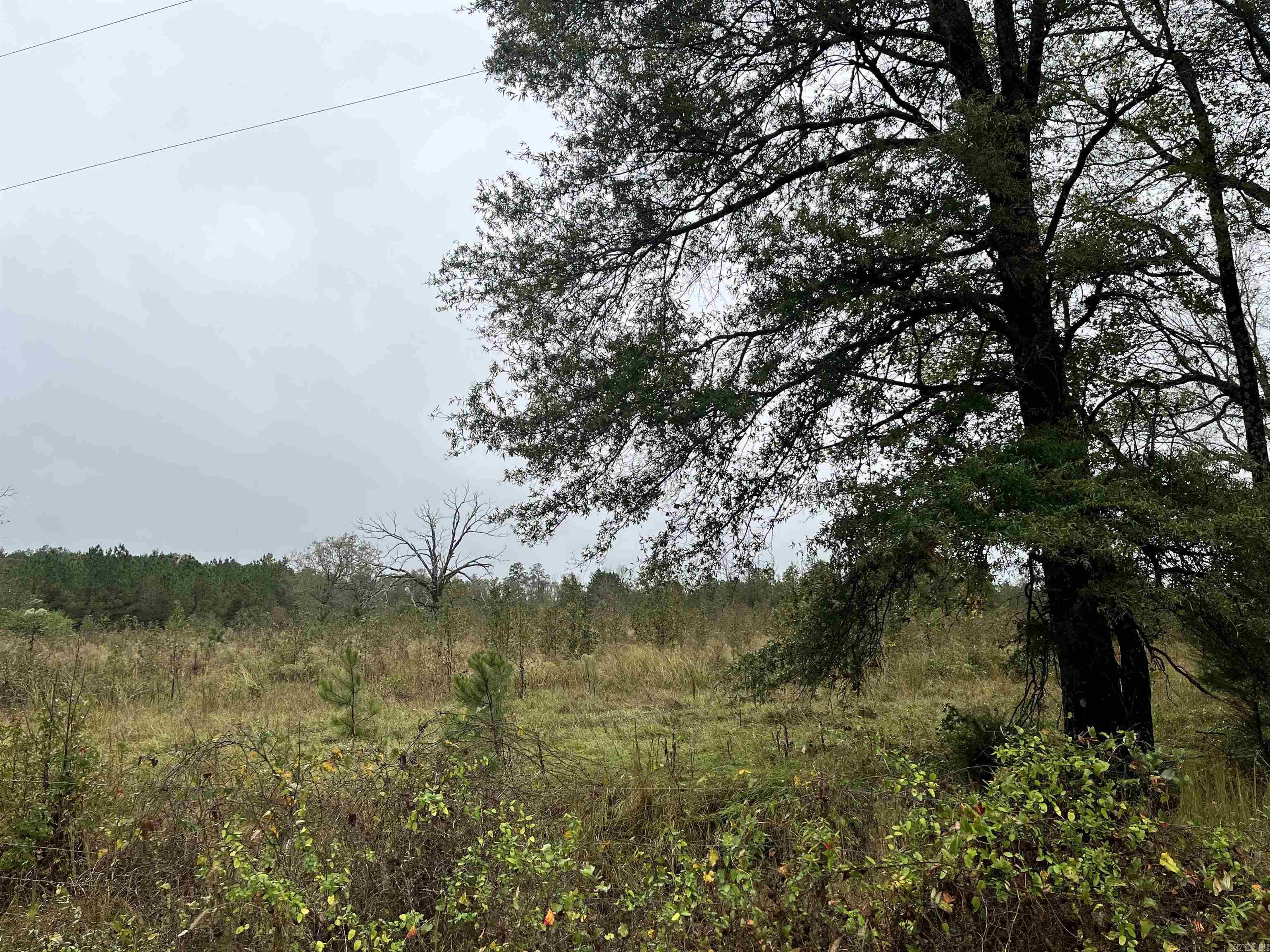 TBD  Grant County 4  Leola, AR