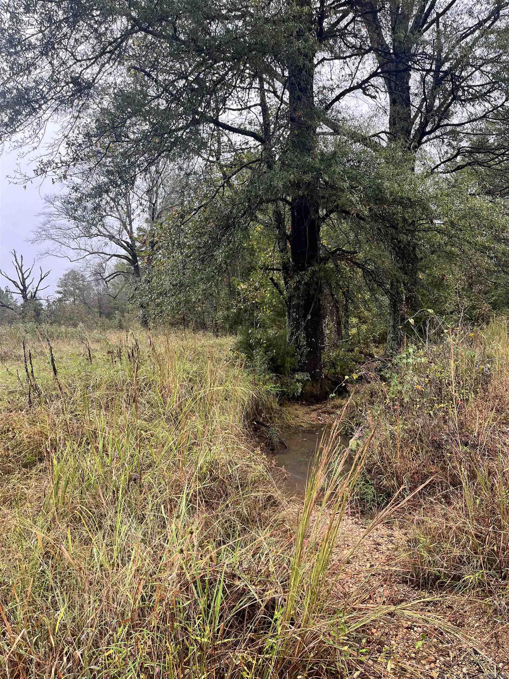 TBD  Grant County 4  Leola, AR