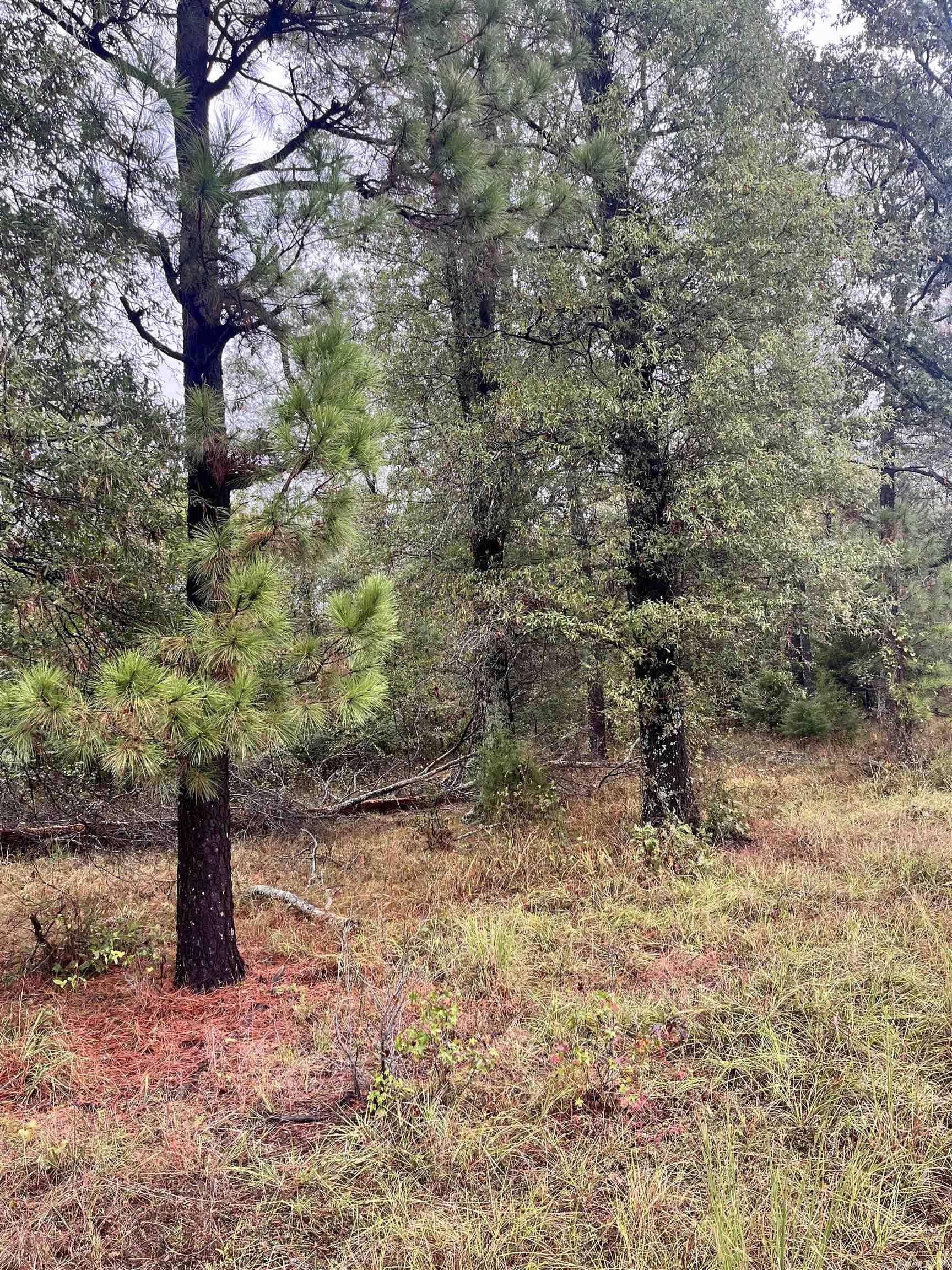 TBD  Grant County 4  Leola, AR