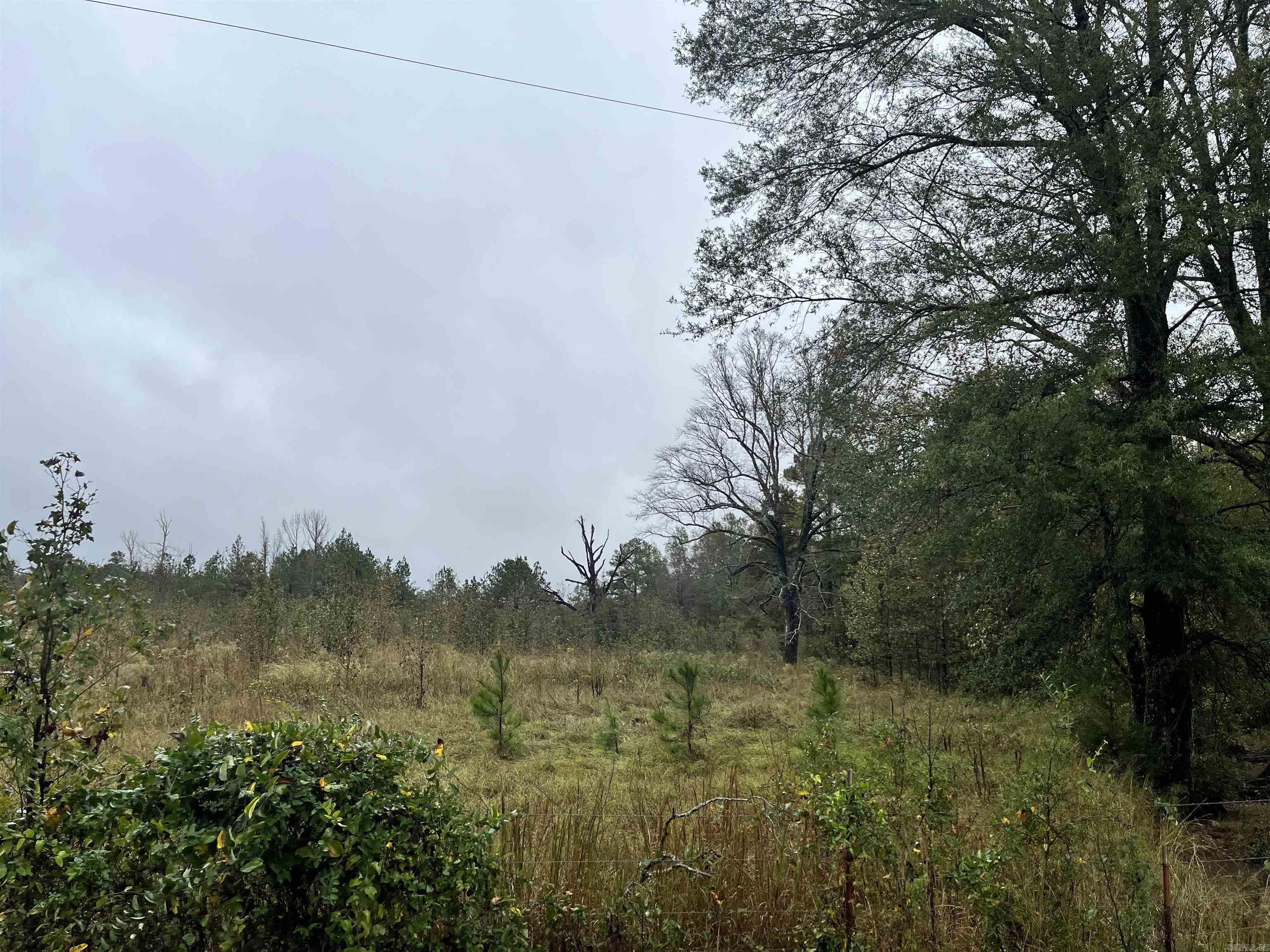 TBD  Grant County 4  Leola, AR