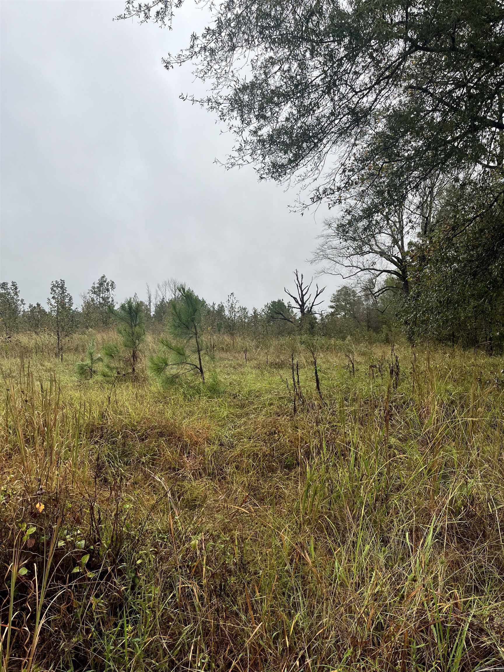 TBD  Grant County 4  Leola, AR