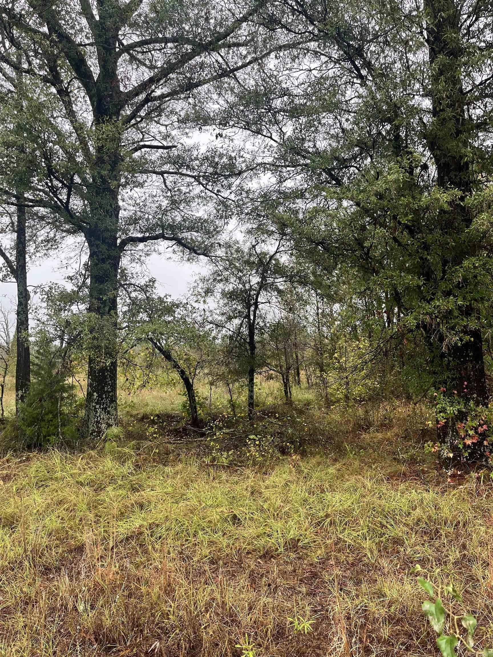 TBD  Grant County 4  Leola, AR