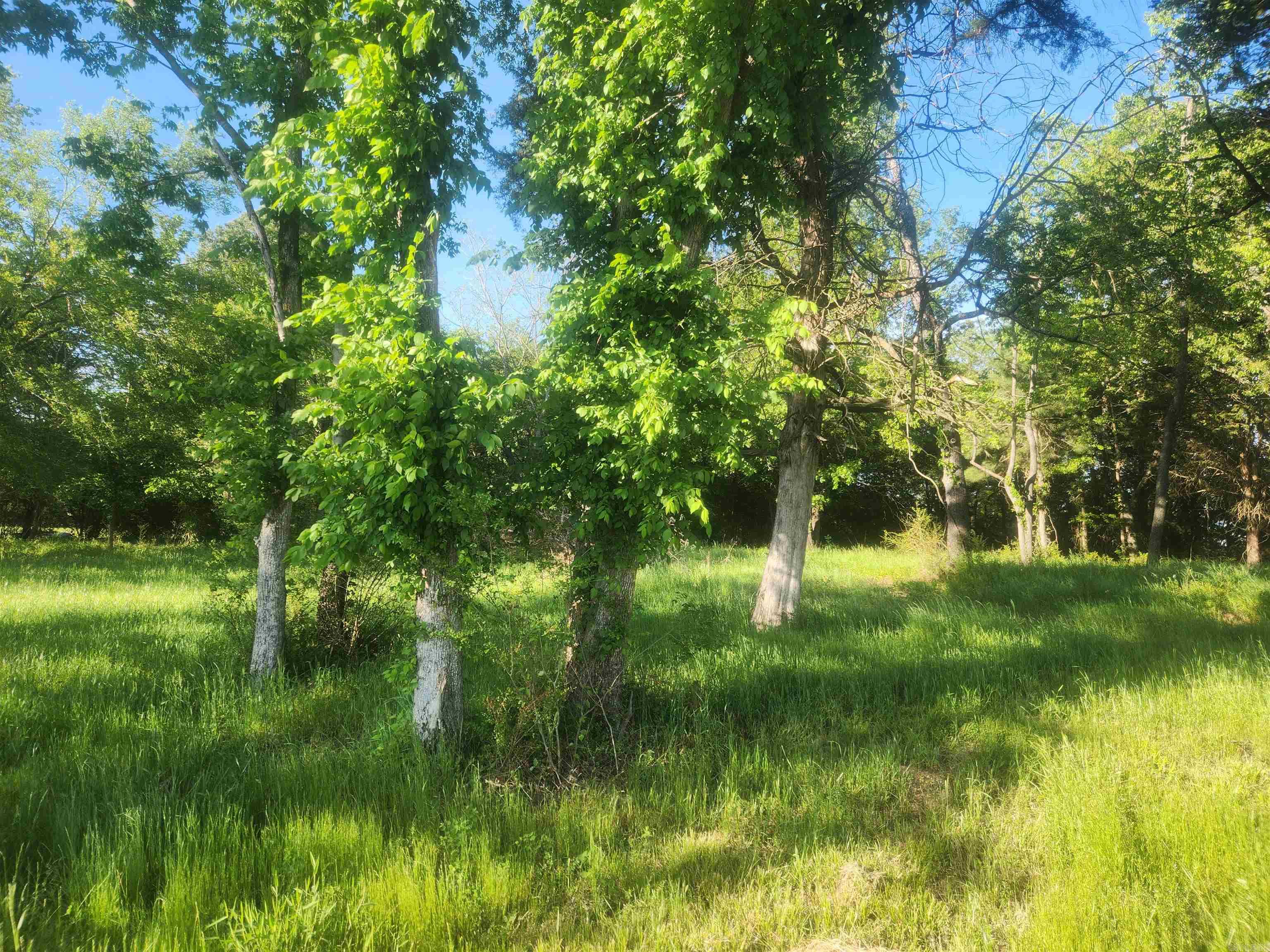Tract 3 Castleberry Lane  Lamar, AR