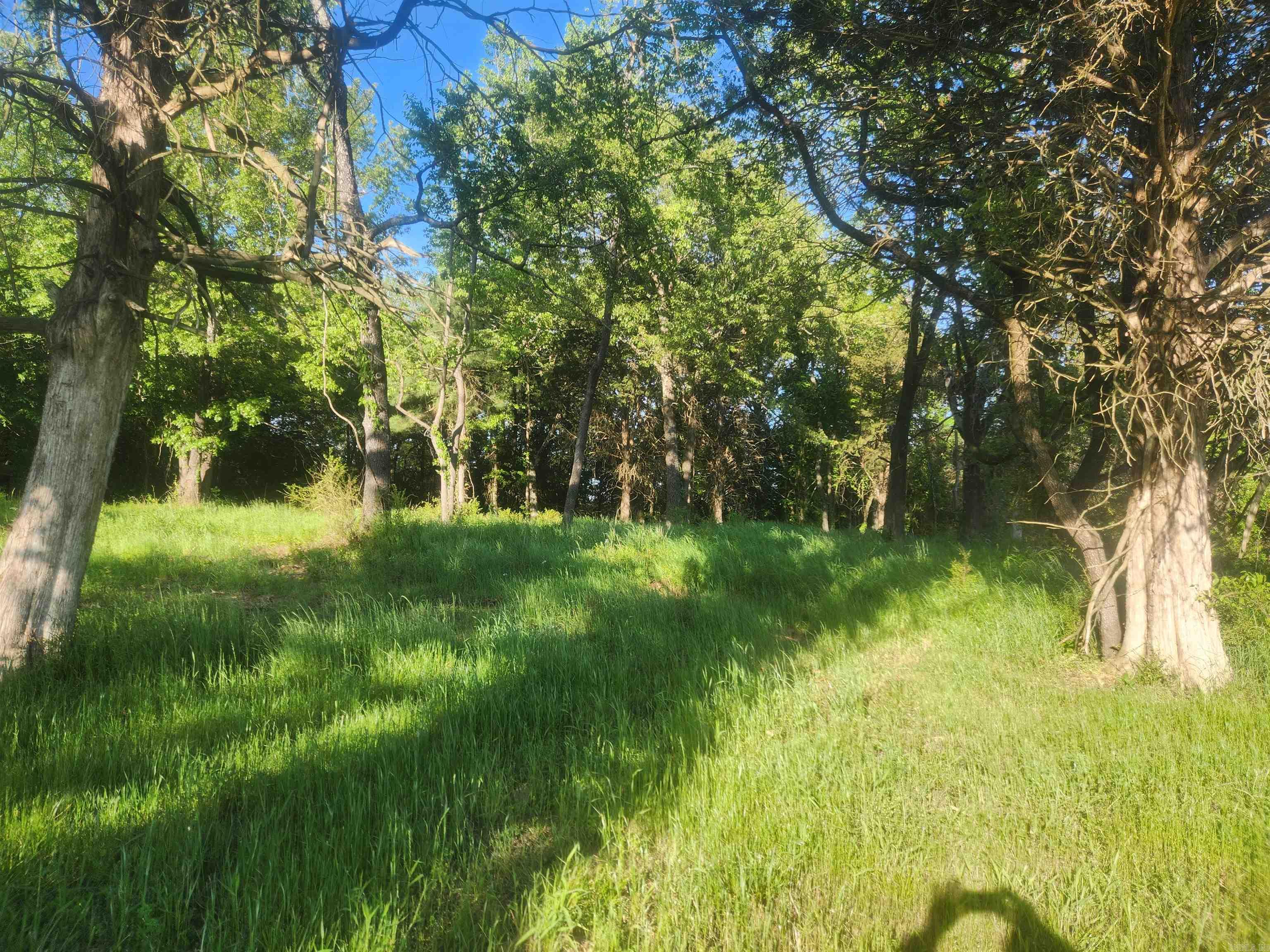 Tract 3 Castleberry Lane  Lamar, AR