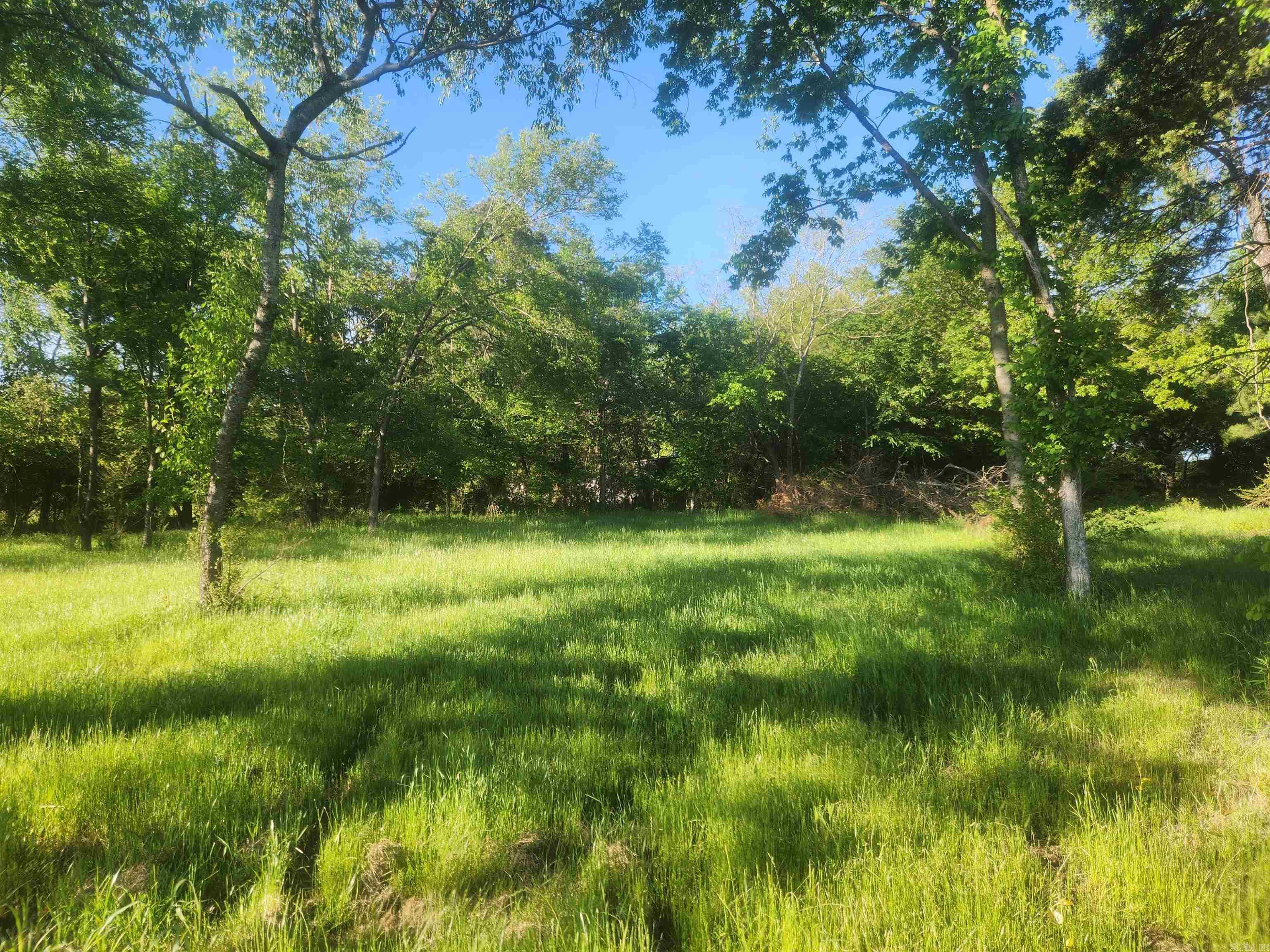Tract 4  Castleberry Lane  Lamar, AR