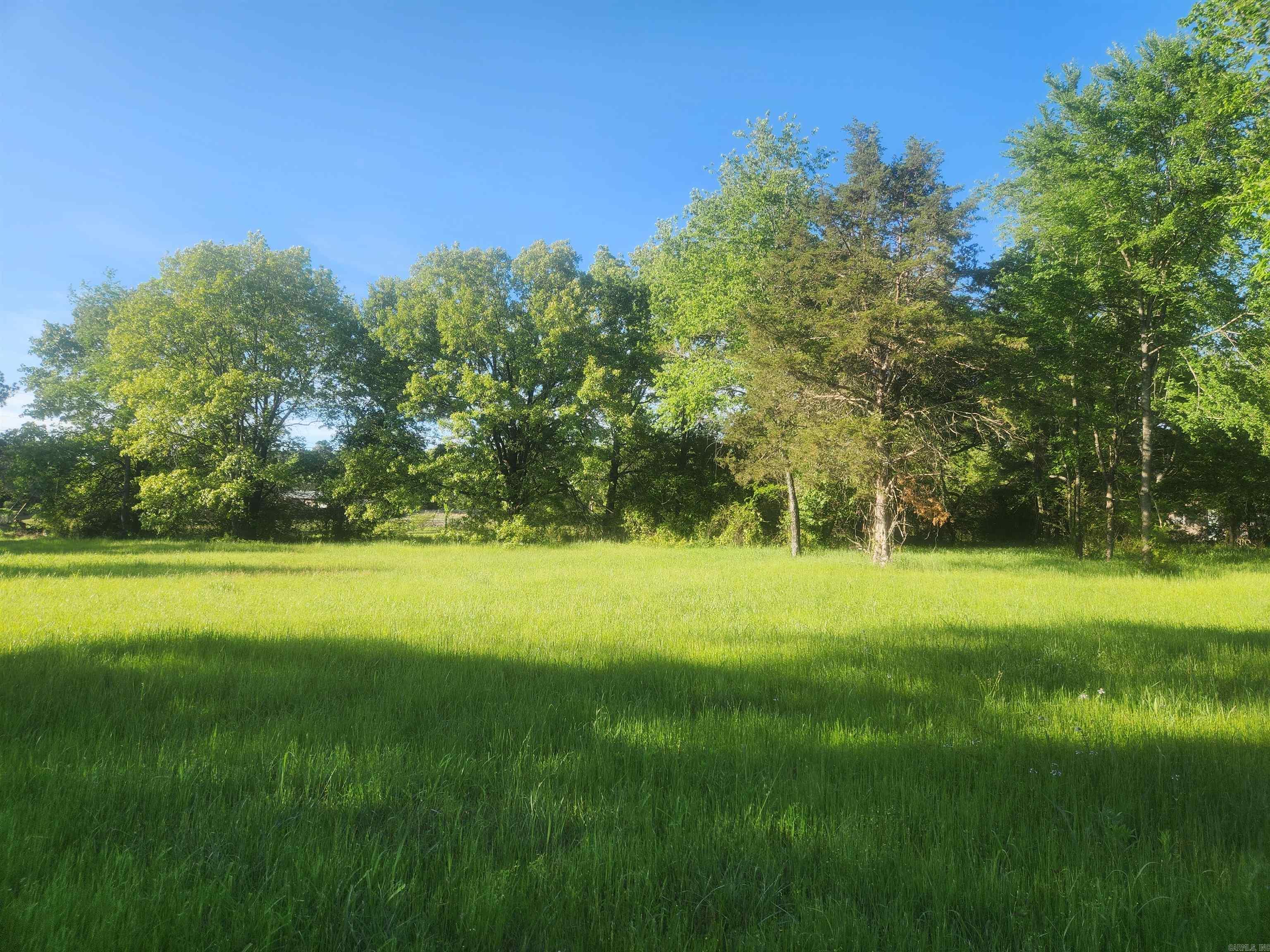 Tract 7 Castleberry Lane  Lamar, AR