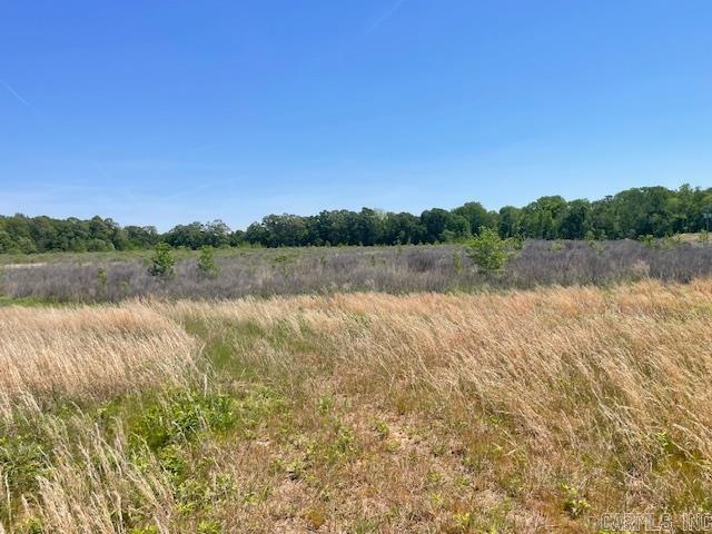 NW 1/4 SE 1/4  S 3 T2N R 6W  Hazen, AR