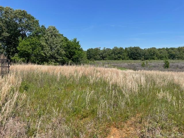 NW 1/4 SE 1/4  S 3 T2N R 6W  Hazen, AR