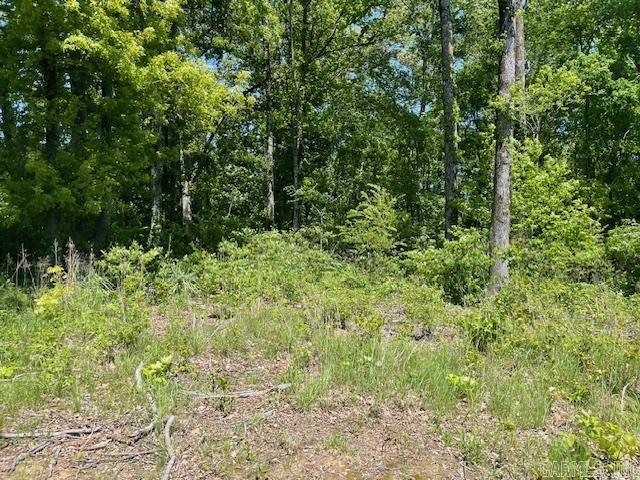 NW 1/4 SE 1/4  S 3 T2N R 6W  Hazen, AR