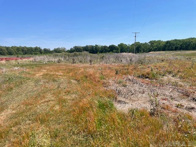 NW 1/4 SE 1/4  S 3 T2N R 6W  Hazen, AR