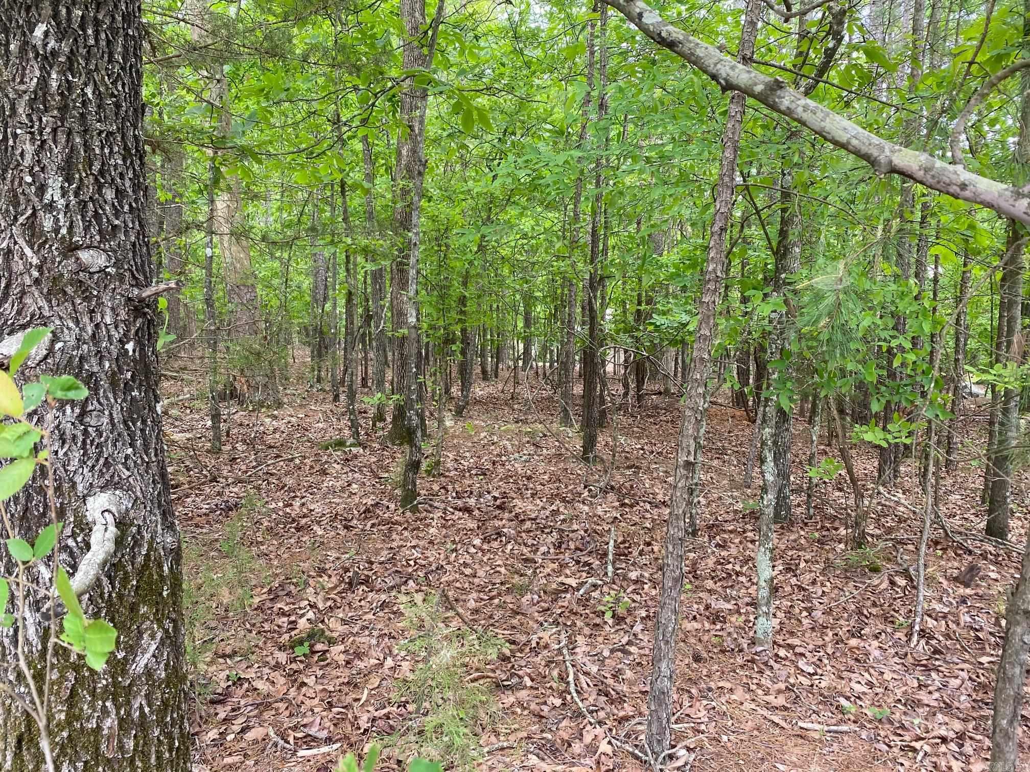 1  Redondo  Hot Springs Village, AR