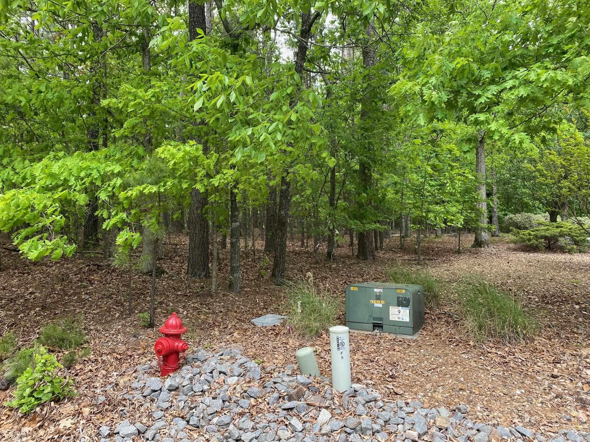1  Redondo  Hot Springs Village, AR