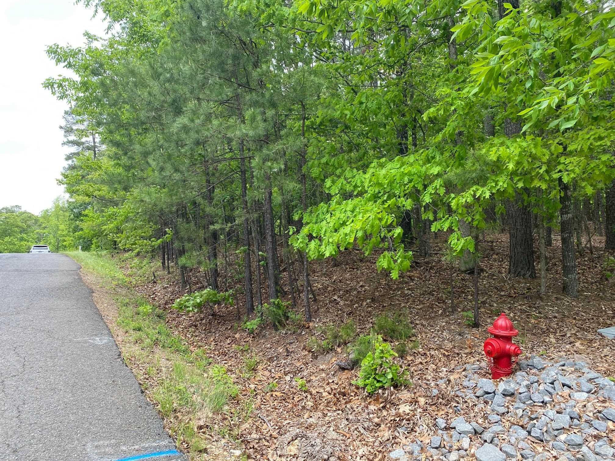 1  Redondo  Hot Springs Village, AR