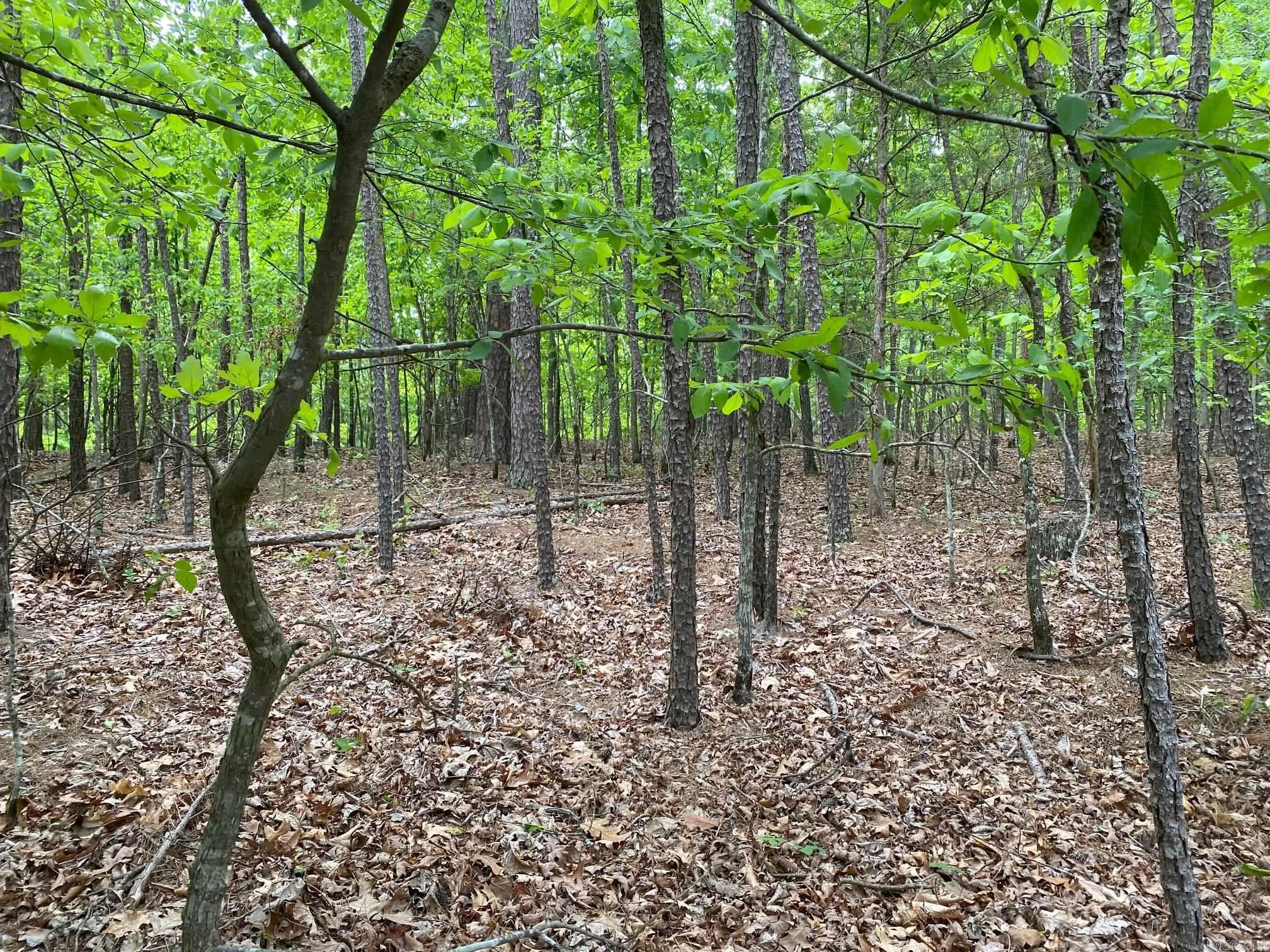 1  Redondo  Hot Springs Village, AR