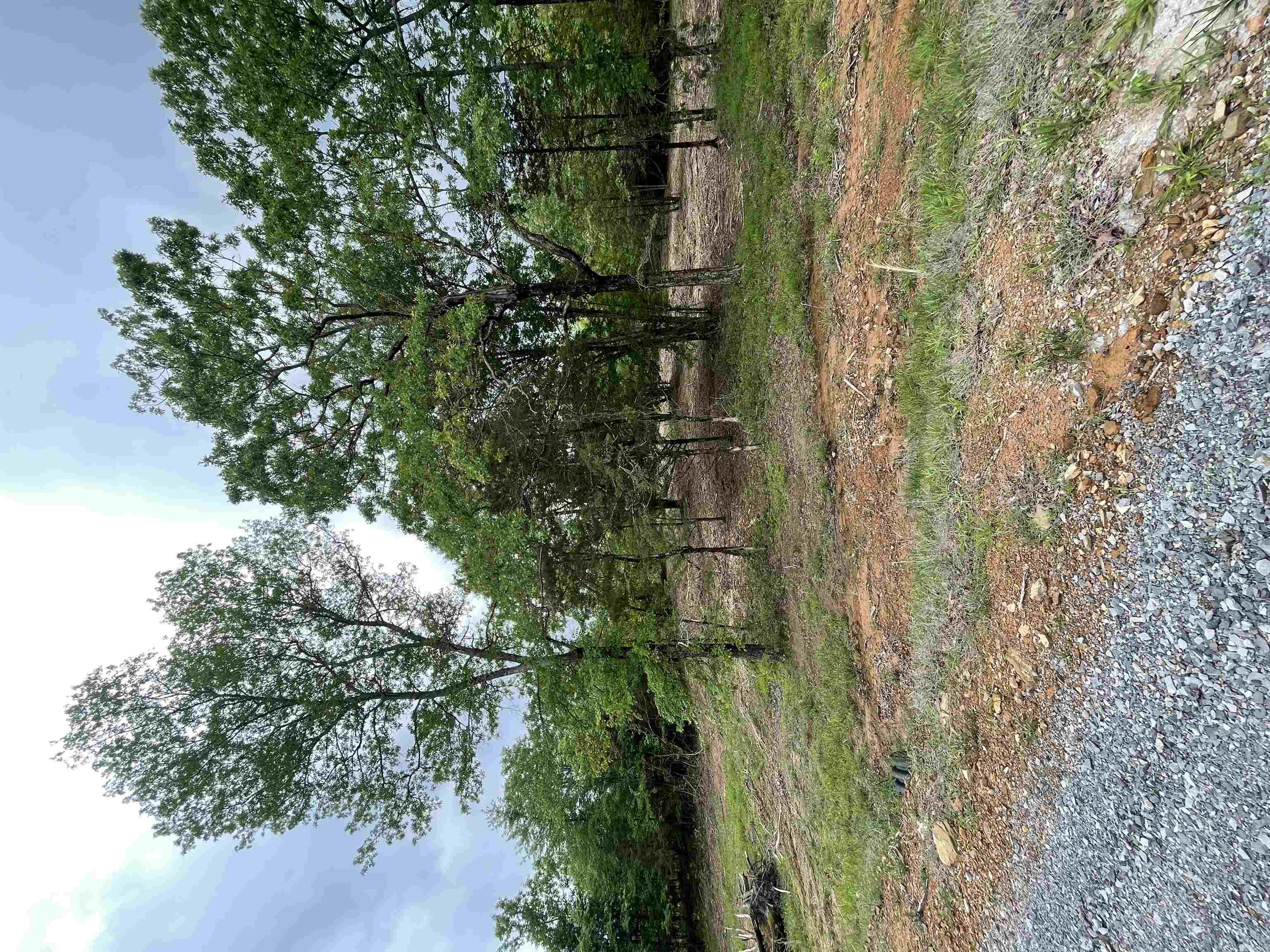 0 Heritage  Twin Groves, AR