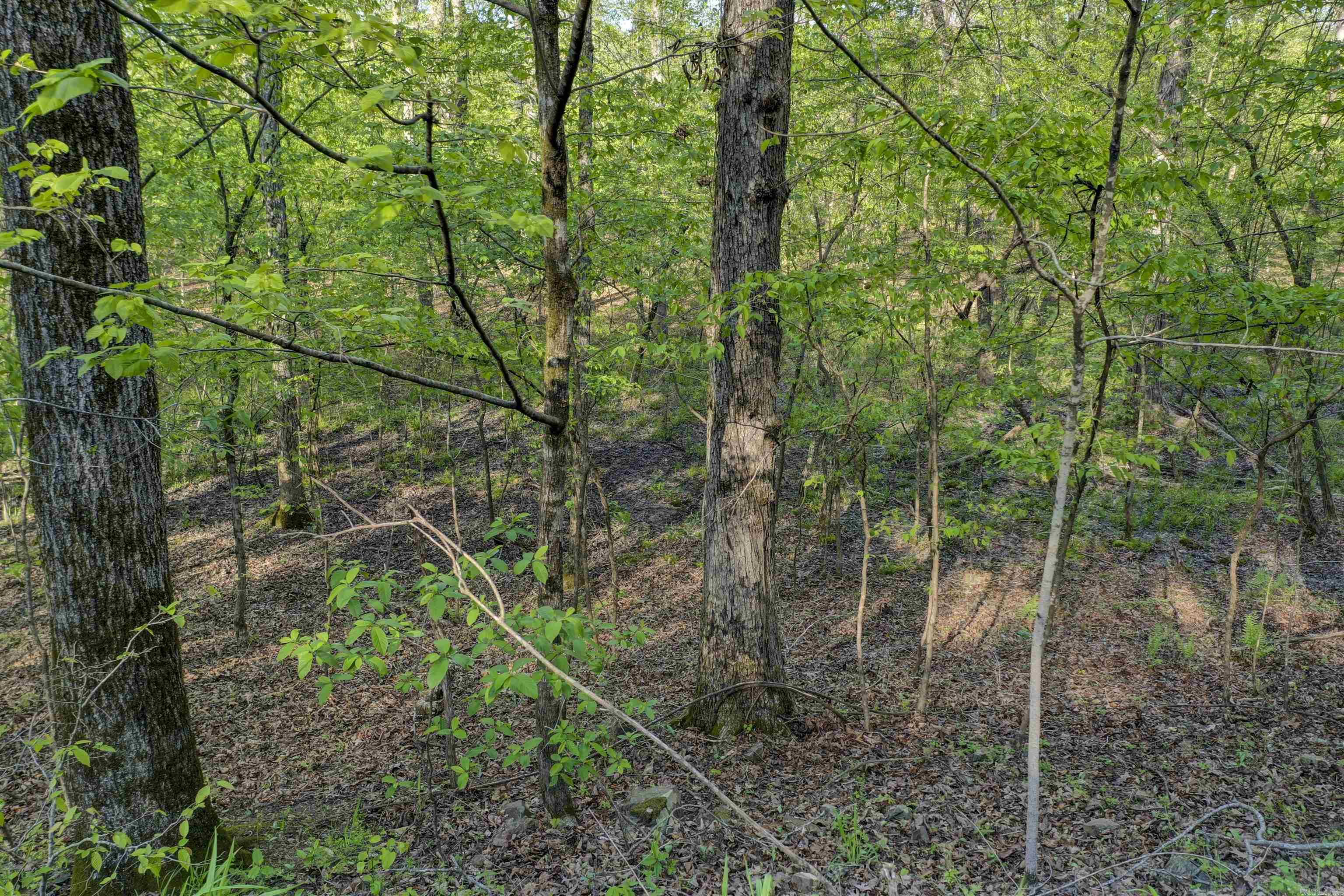 Lot 54 and 55  Tall Hickory  Hot Springs, AR