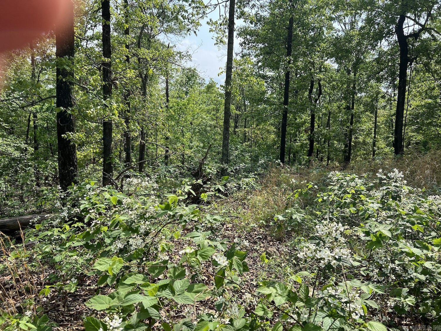 100  Pawnee Drive  Hardy, AR