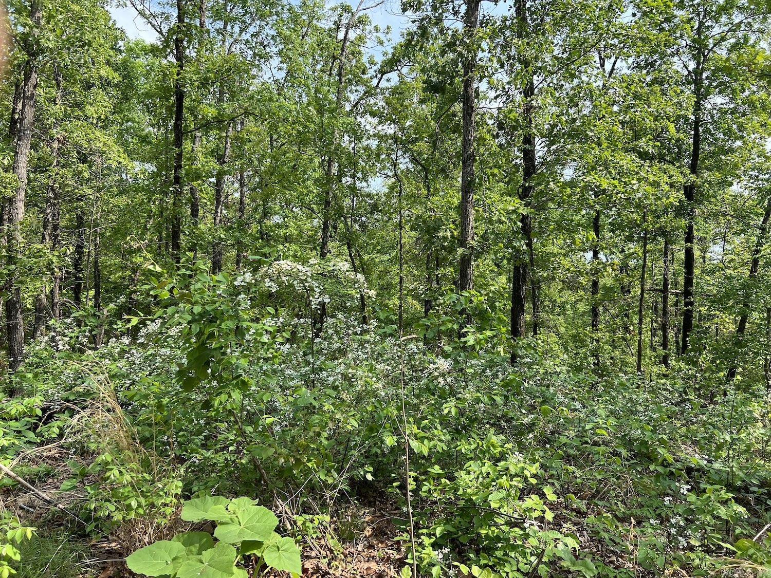100  Pawnee Drive  Hardy, AR