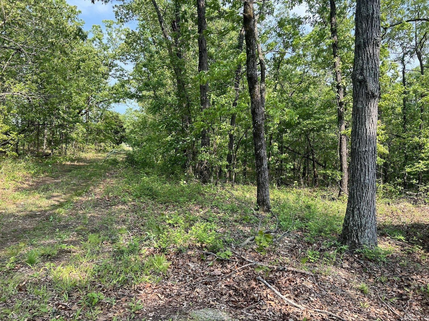 100  Pawnee Drive  Hardy, AR