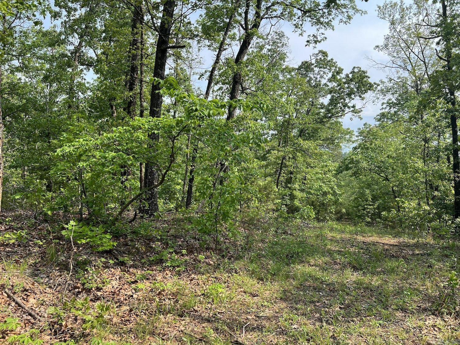 100  Pawnee Drive  Hardy, AR