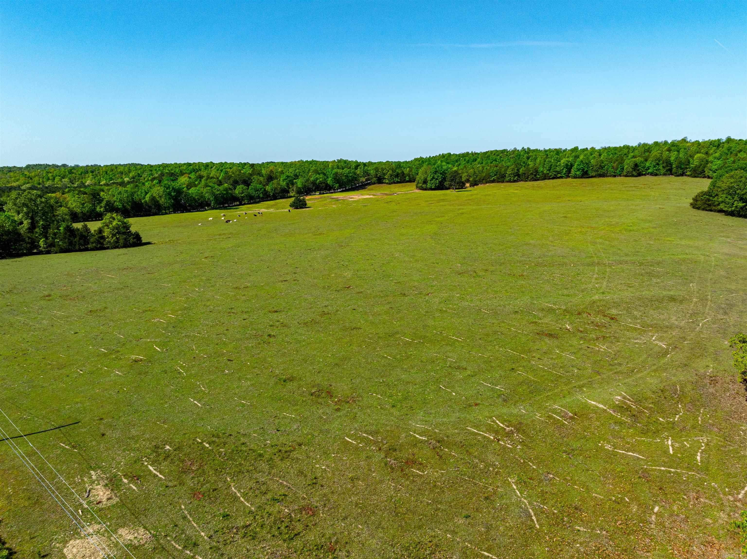 0  Lankford Cir  Bee Branch, AR