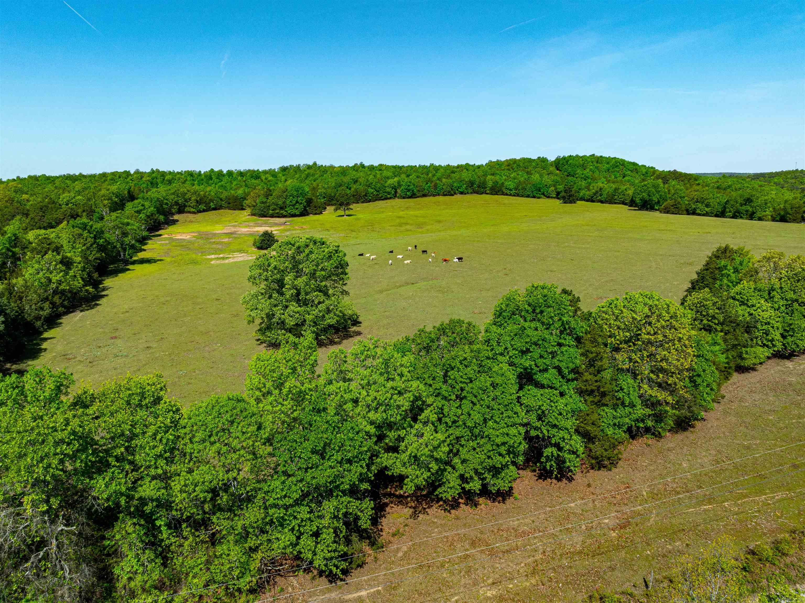 0  Lankford Cir  Bee Branch, AR