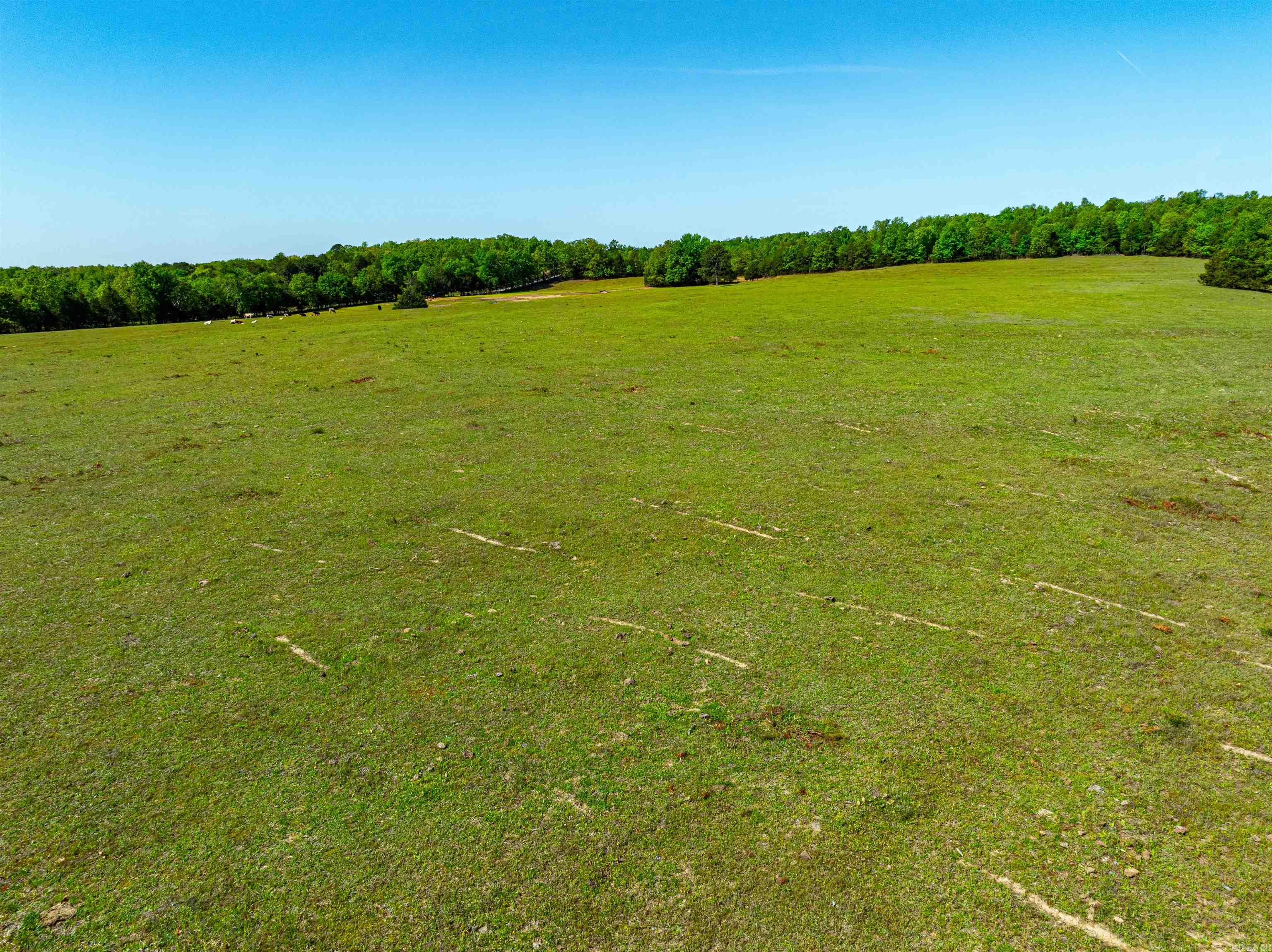 0  Lankford Cir  Bee Branch, AR