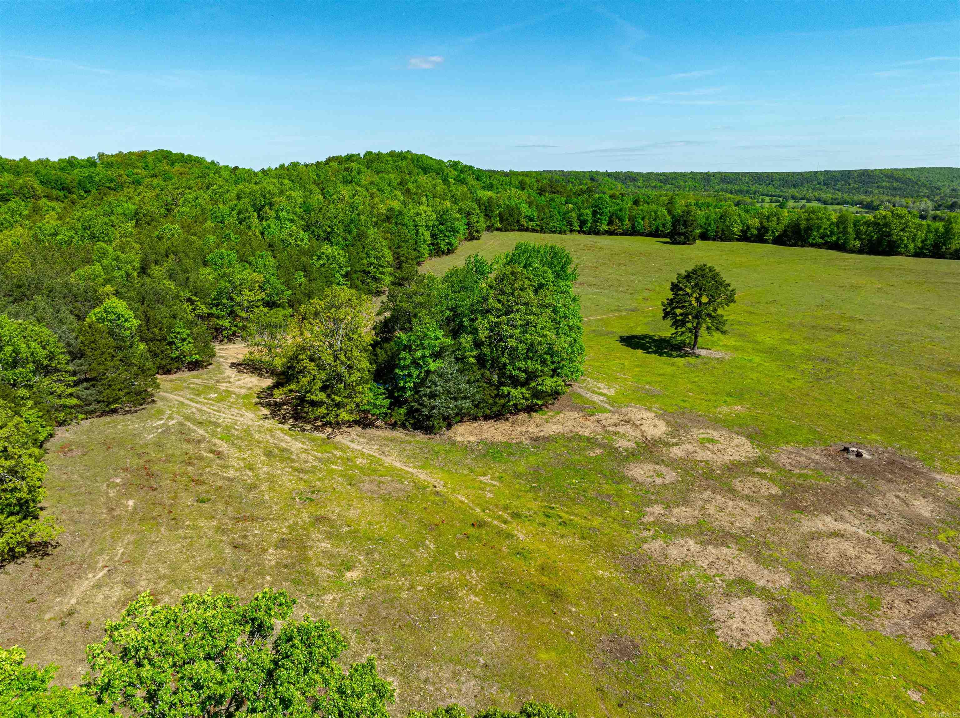 0  Lankford Cir  Bee Branch, AR