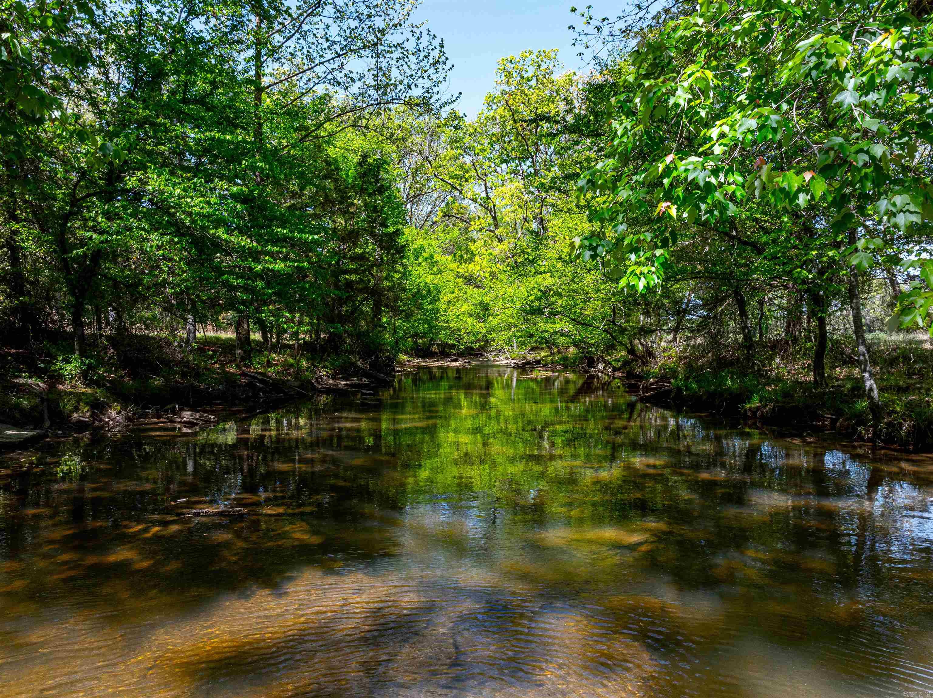 0  Charolais Ln  Bee Branch, AR