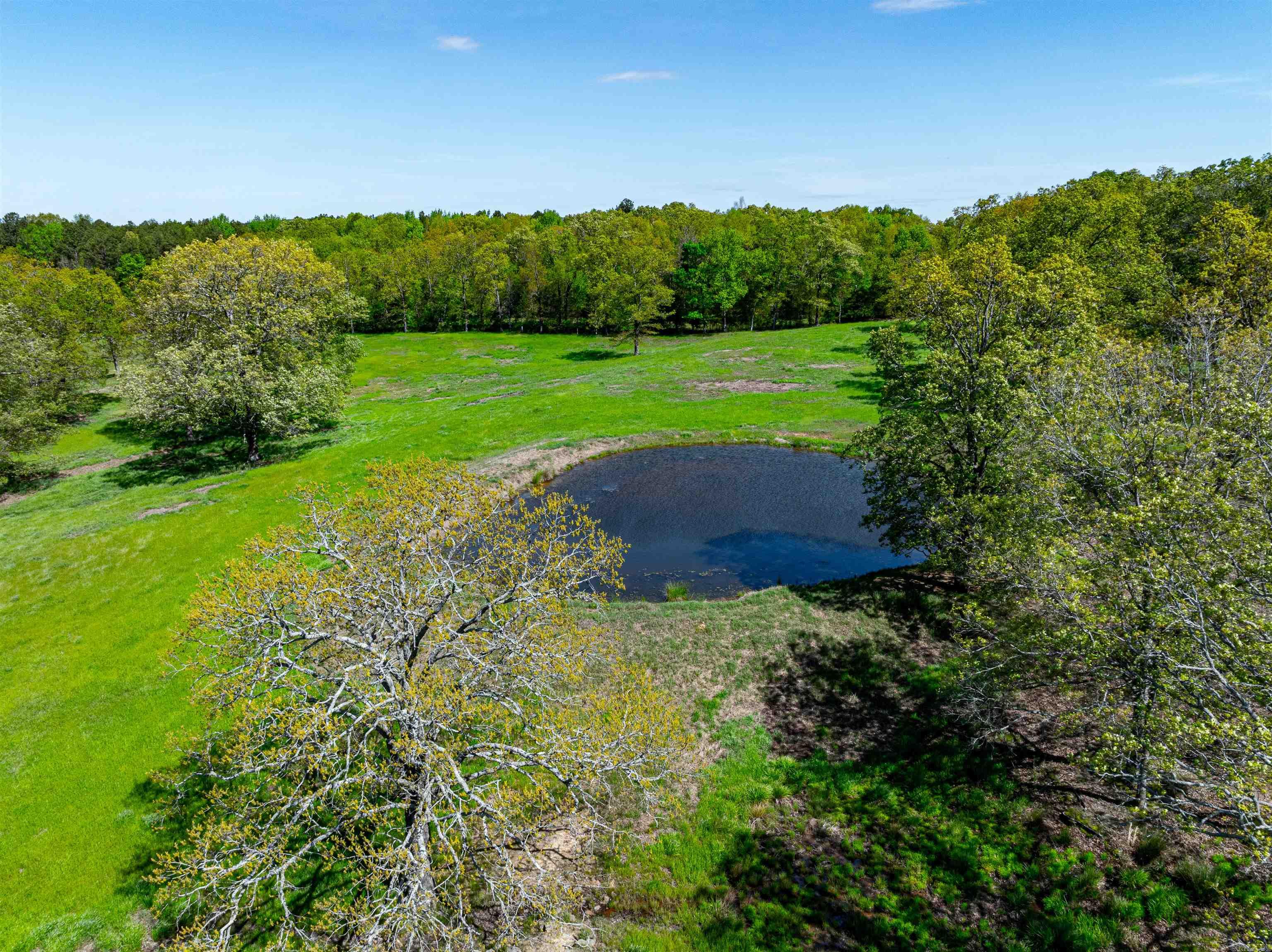 0  Charolais Ln  Bee Branch, AR
