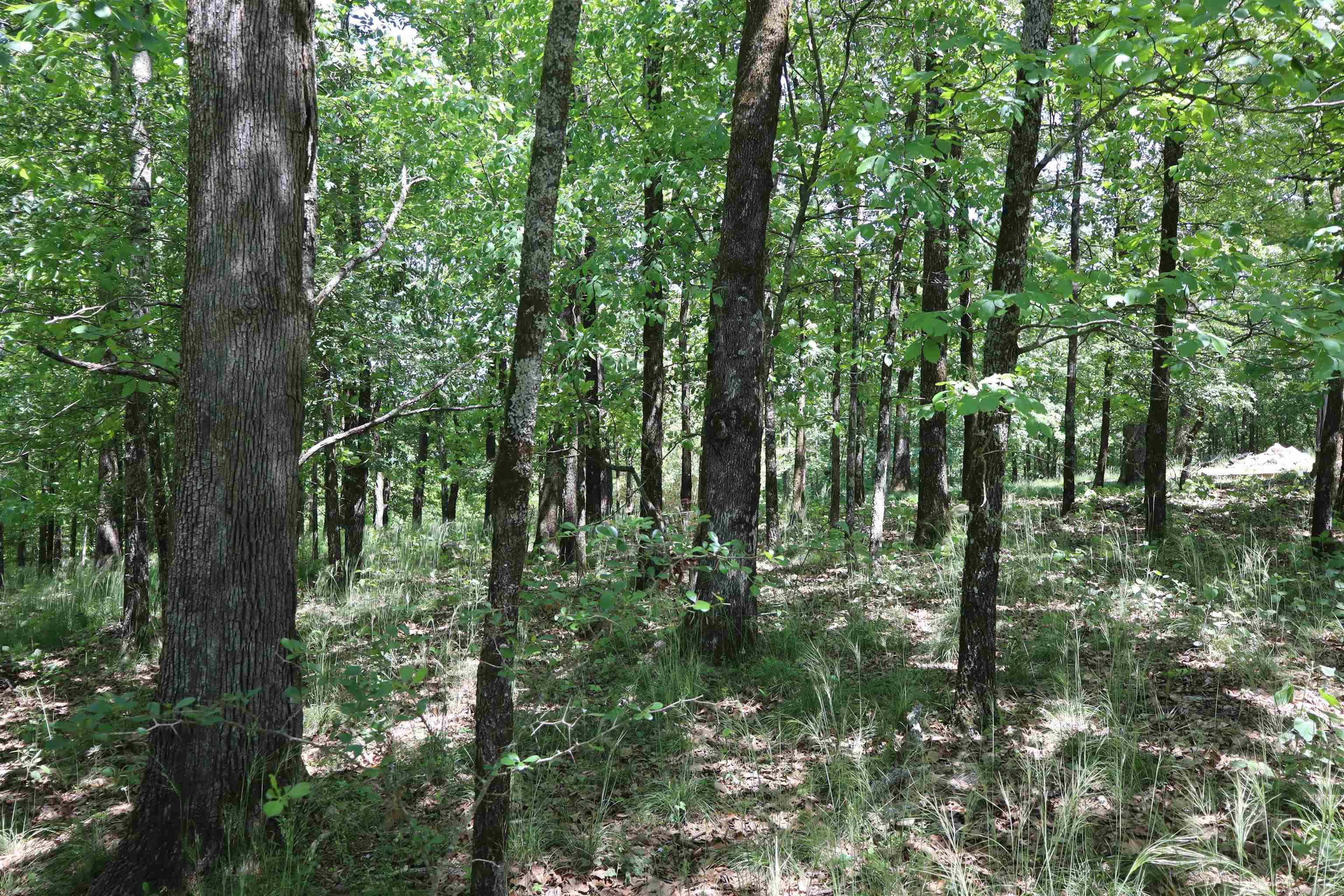 180  Hickory Hill  Hot Springs, AR