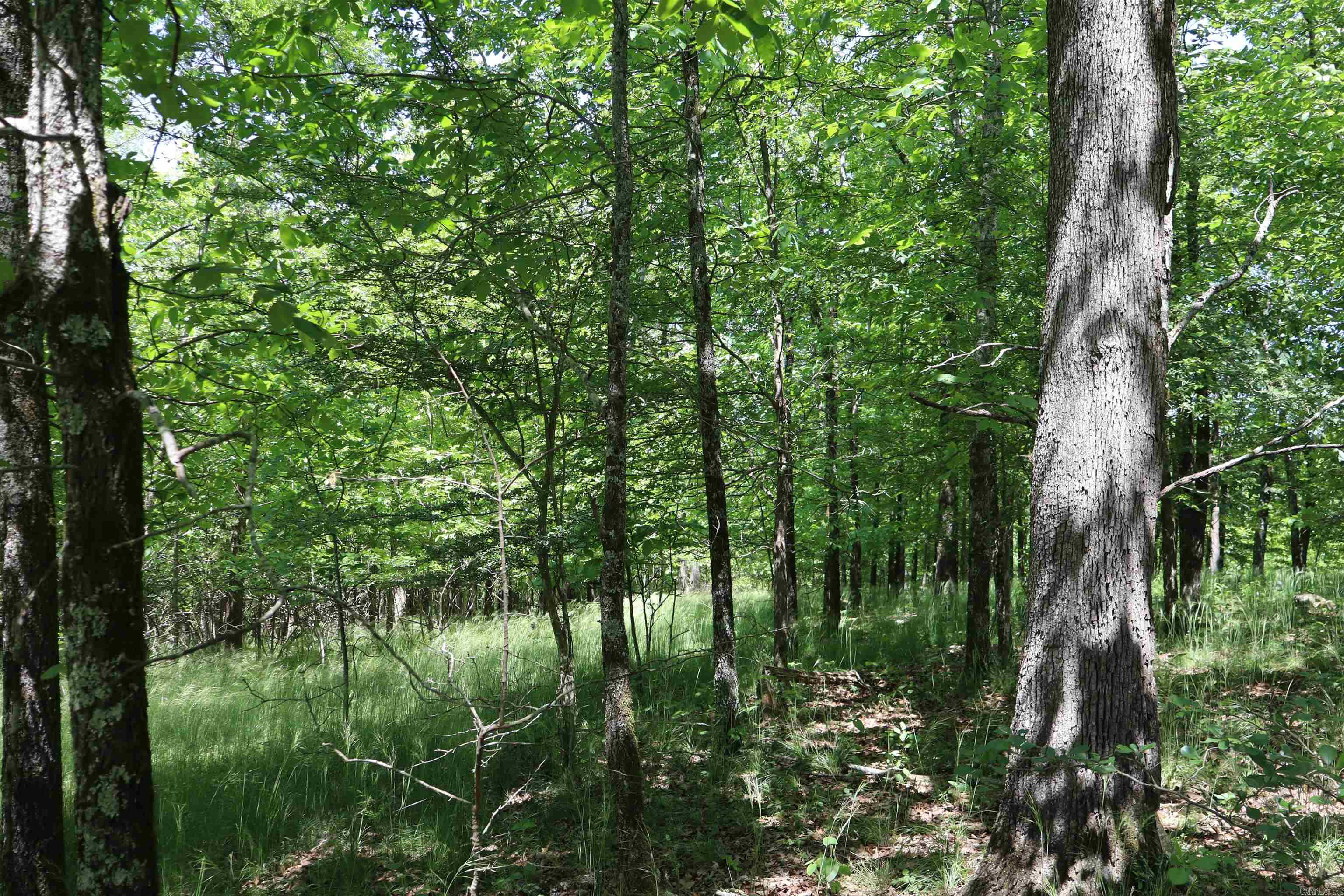 180  Hickory Hill  Hot Springs, AR