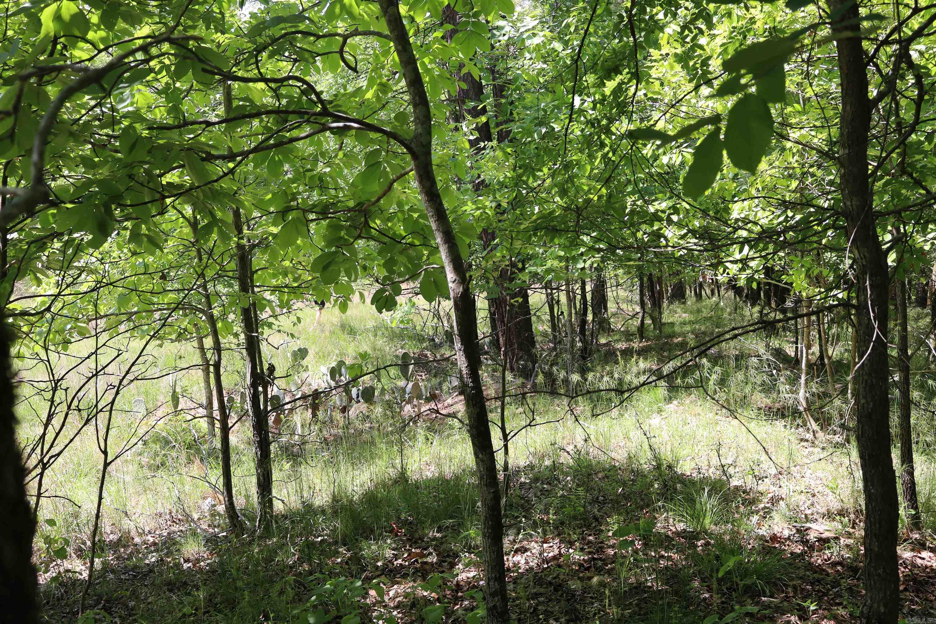 180  Hickory Hill  Hot Springs, AR