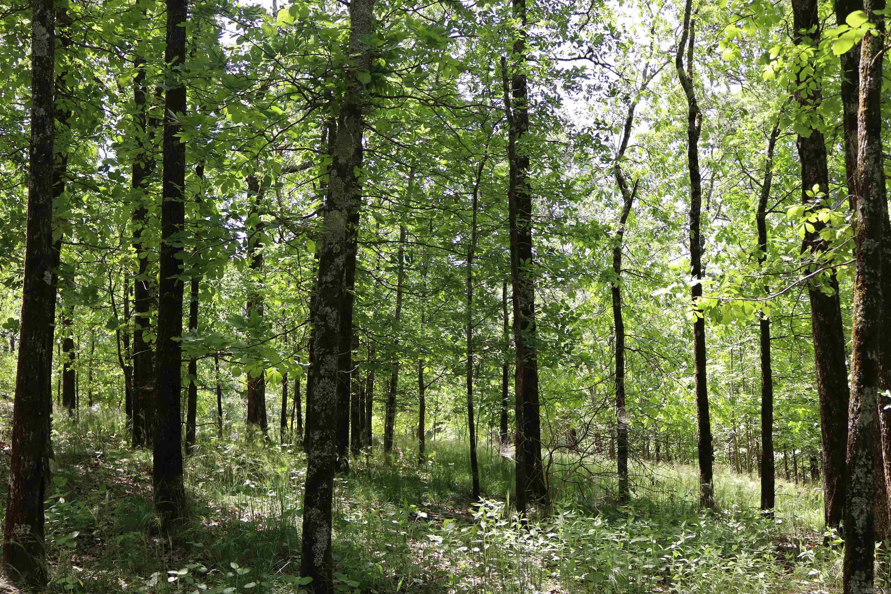180  Hickory Hill  Hot Springs, AR