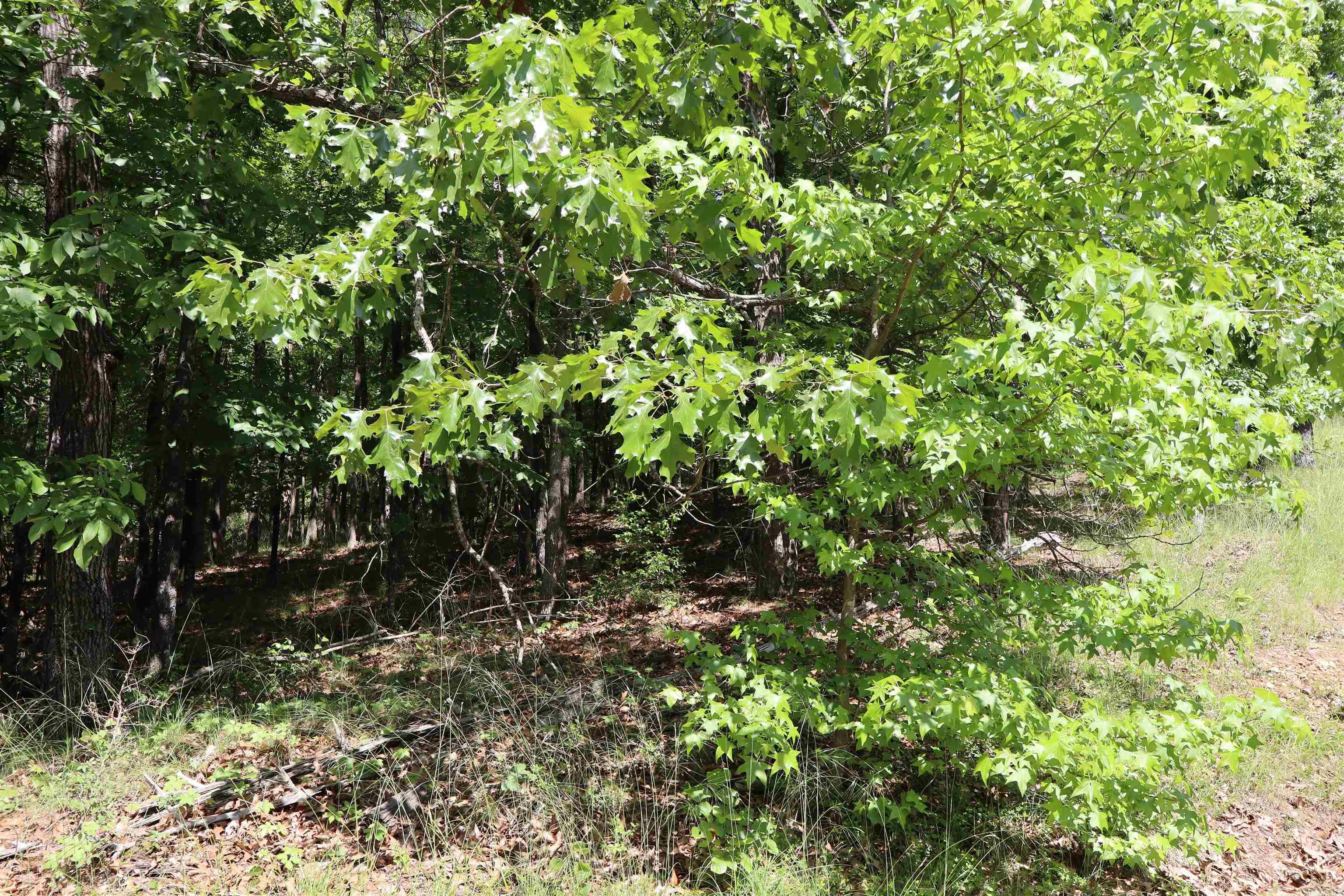 160  Tamoshantor Ct  Hot Springs, AR
