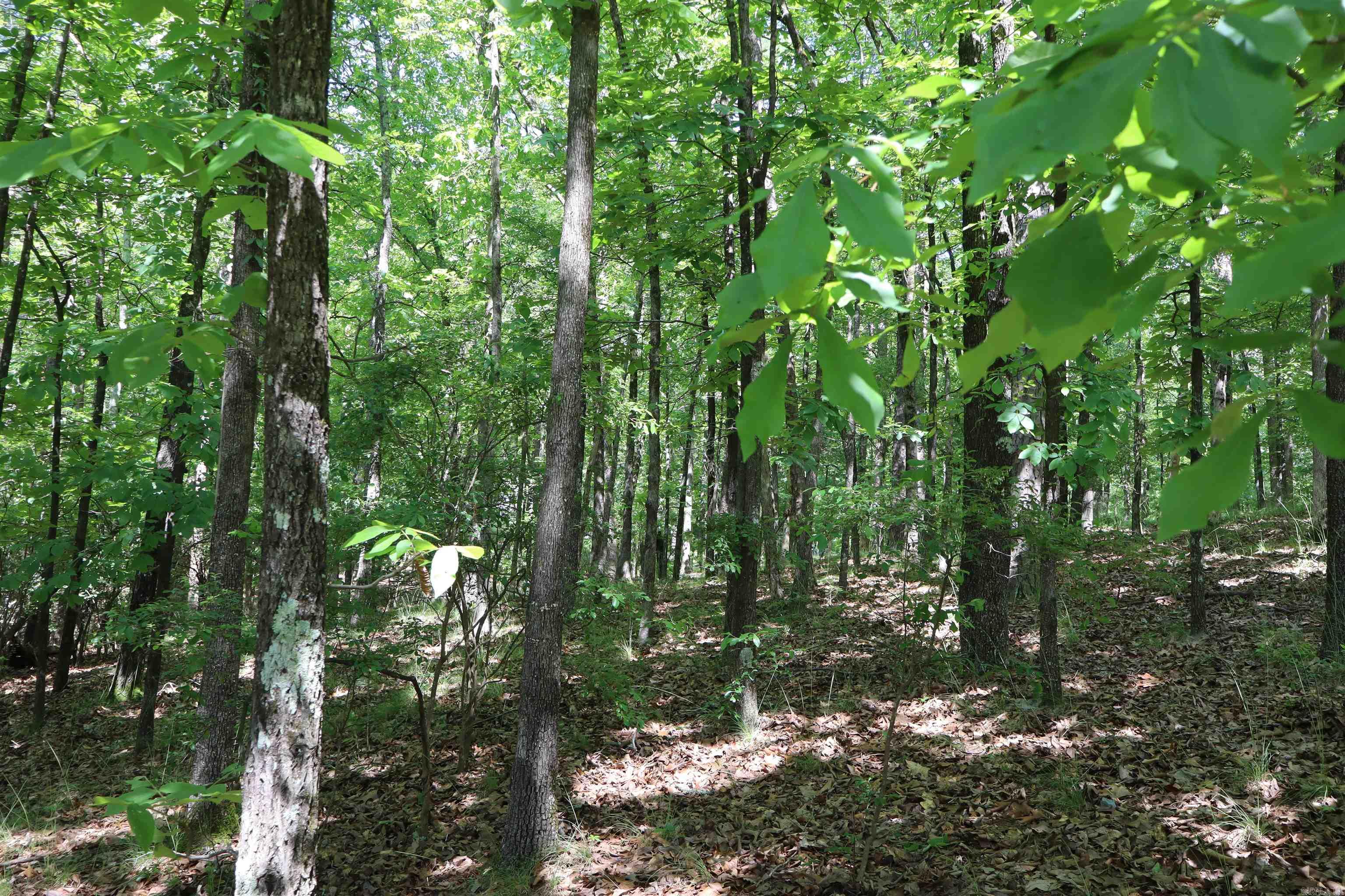 160  Tamoshantor Ct  Hot Springs, AR