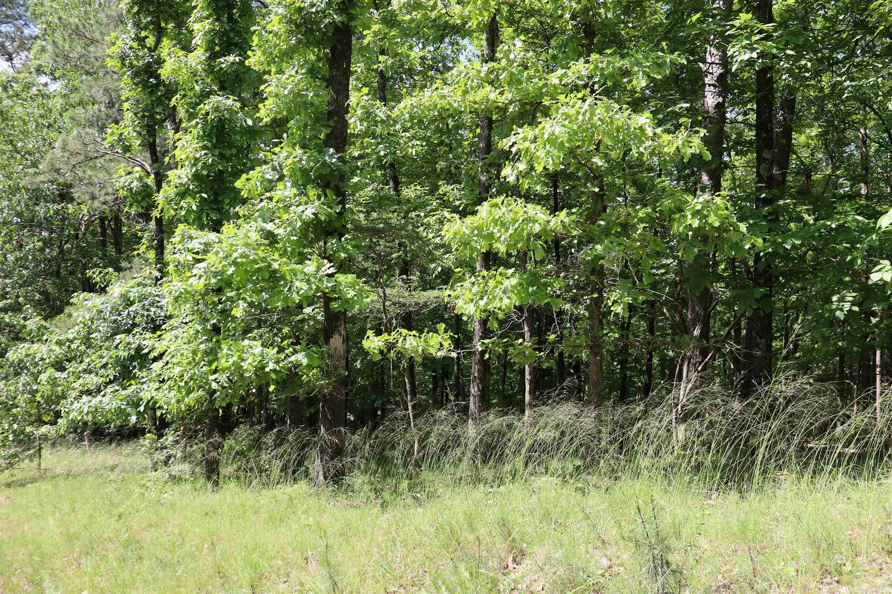 160  Tamoshantor Ct  Hot Springs, AR