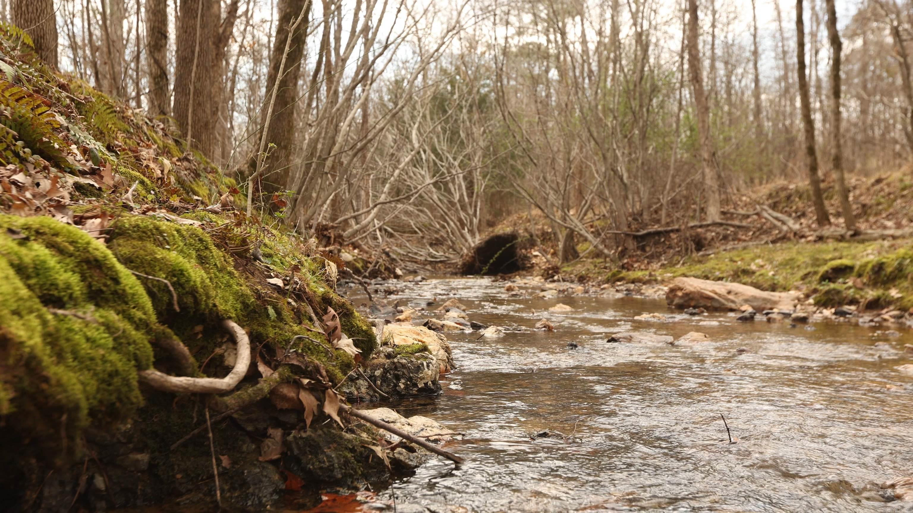 Lot 218  Cimarron  Benton, AR