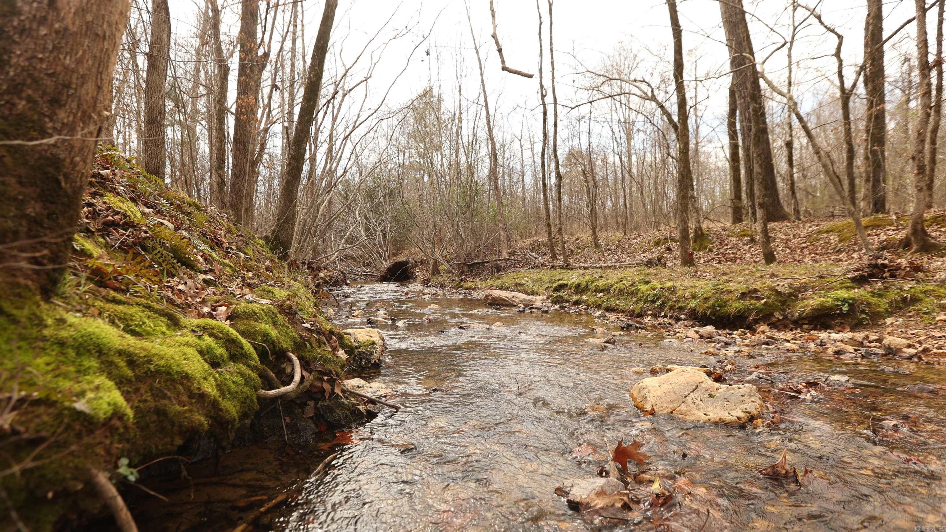 Lot 221  Bighorn  Benton, AR