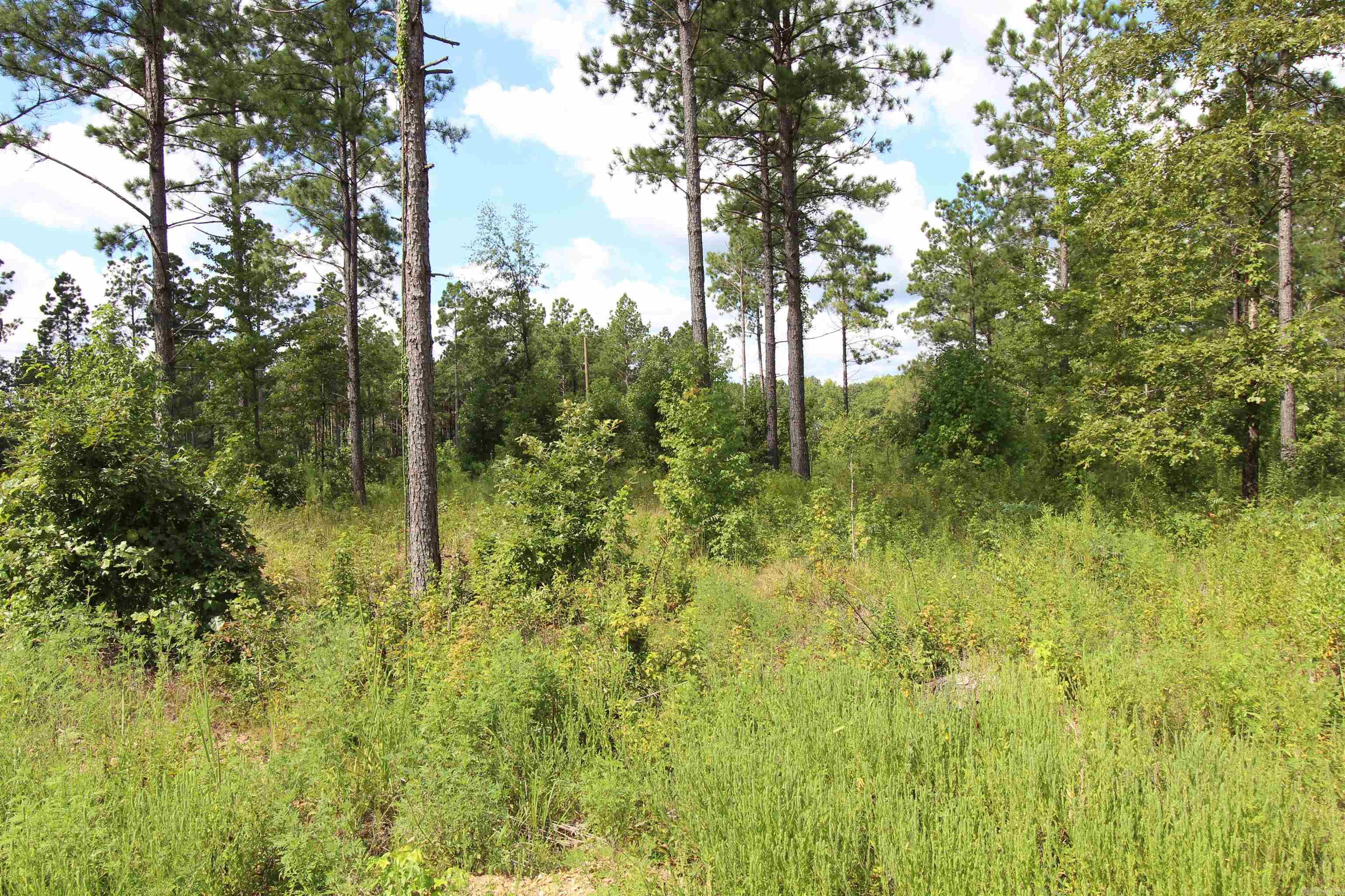 lot 15  Grant County Road 761  Sheridan, AR