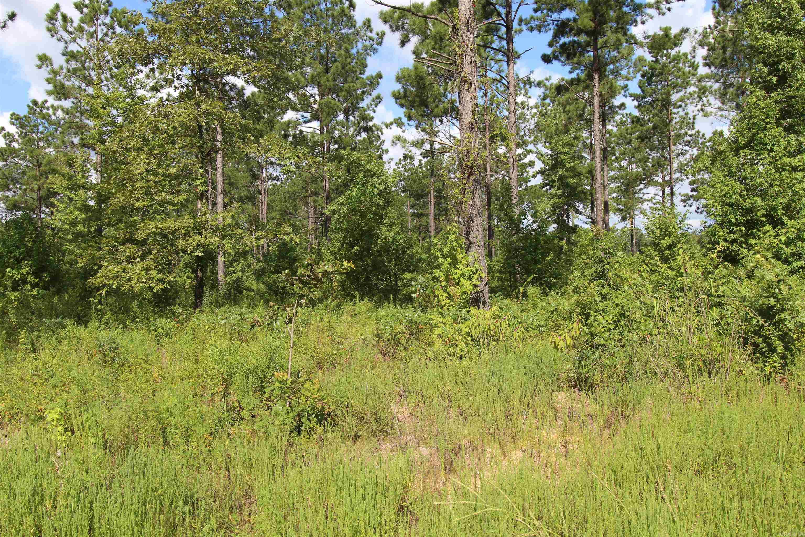 lot 15  Grant County Road 761  Sheridan, AR