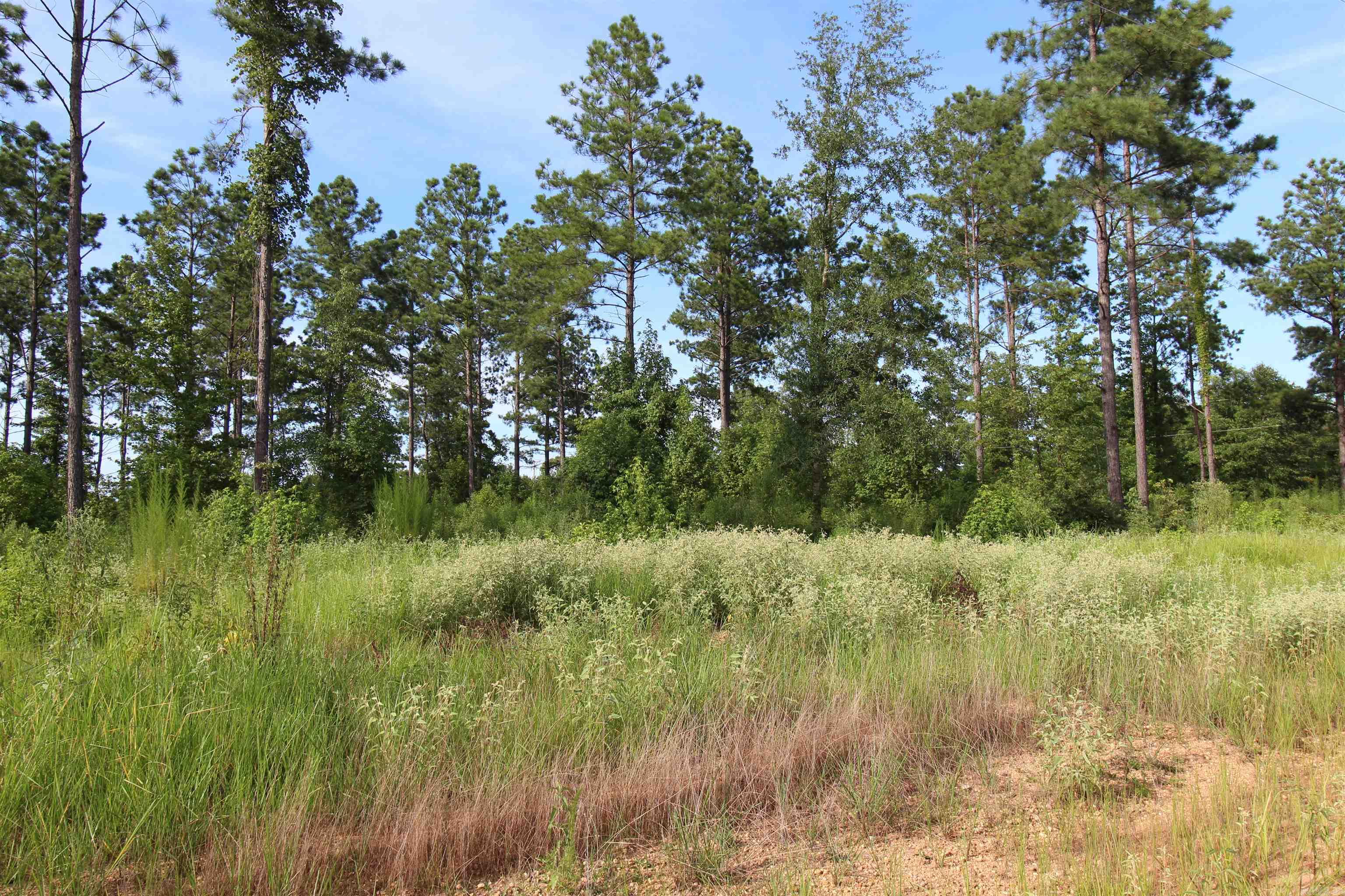 lot 15  Grant County Road 761  Sheridan, AR