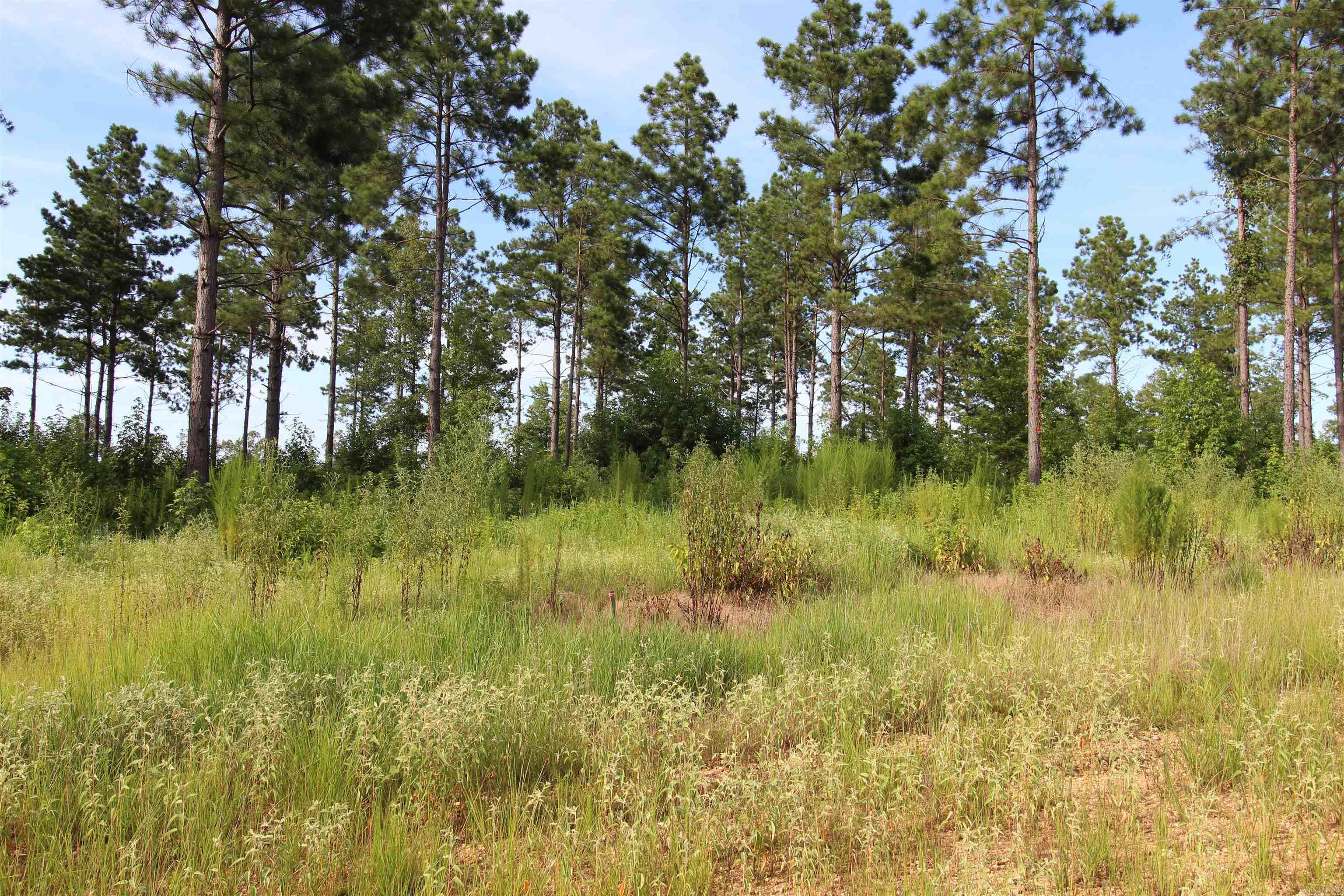 lot 15  Grant County Road 761  Sheridan, AR