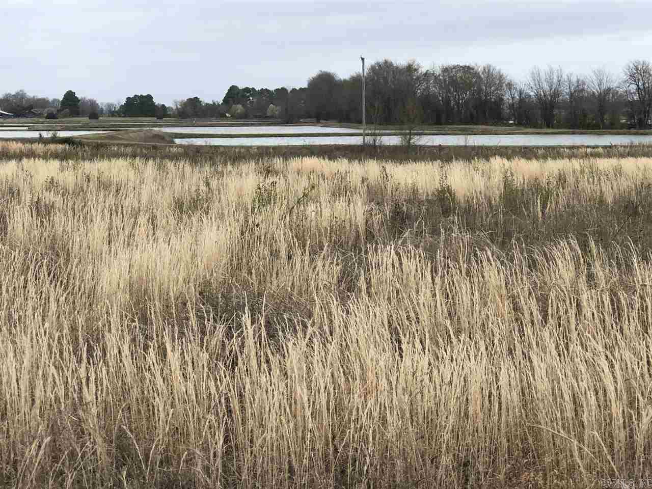 Lot 27  JF  Lonoke, AR