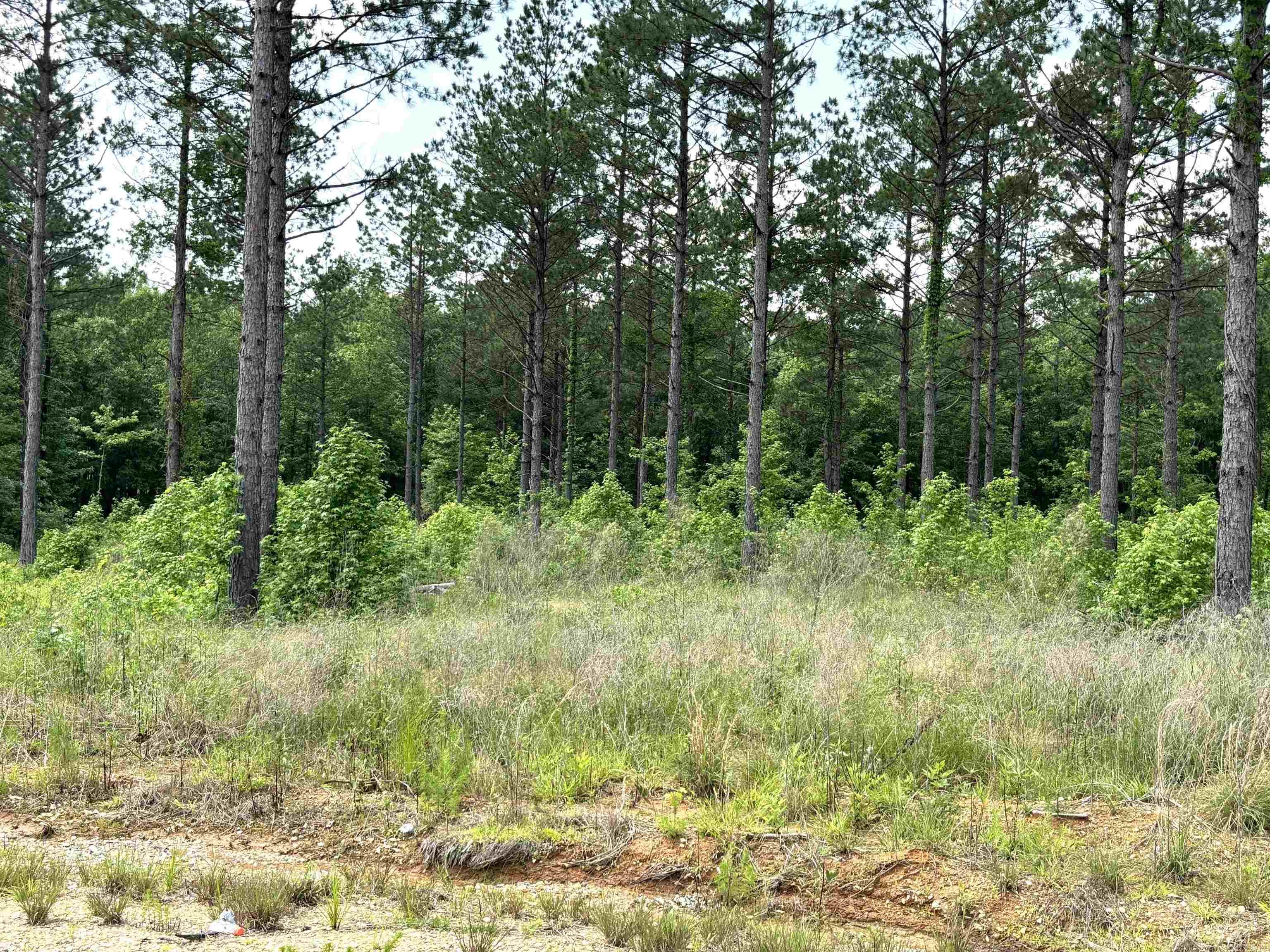 lot 16  Grant County Road 761  Sheridan, AR