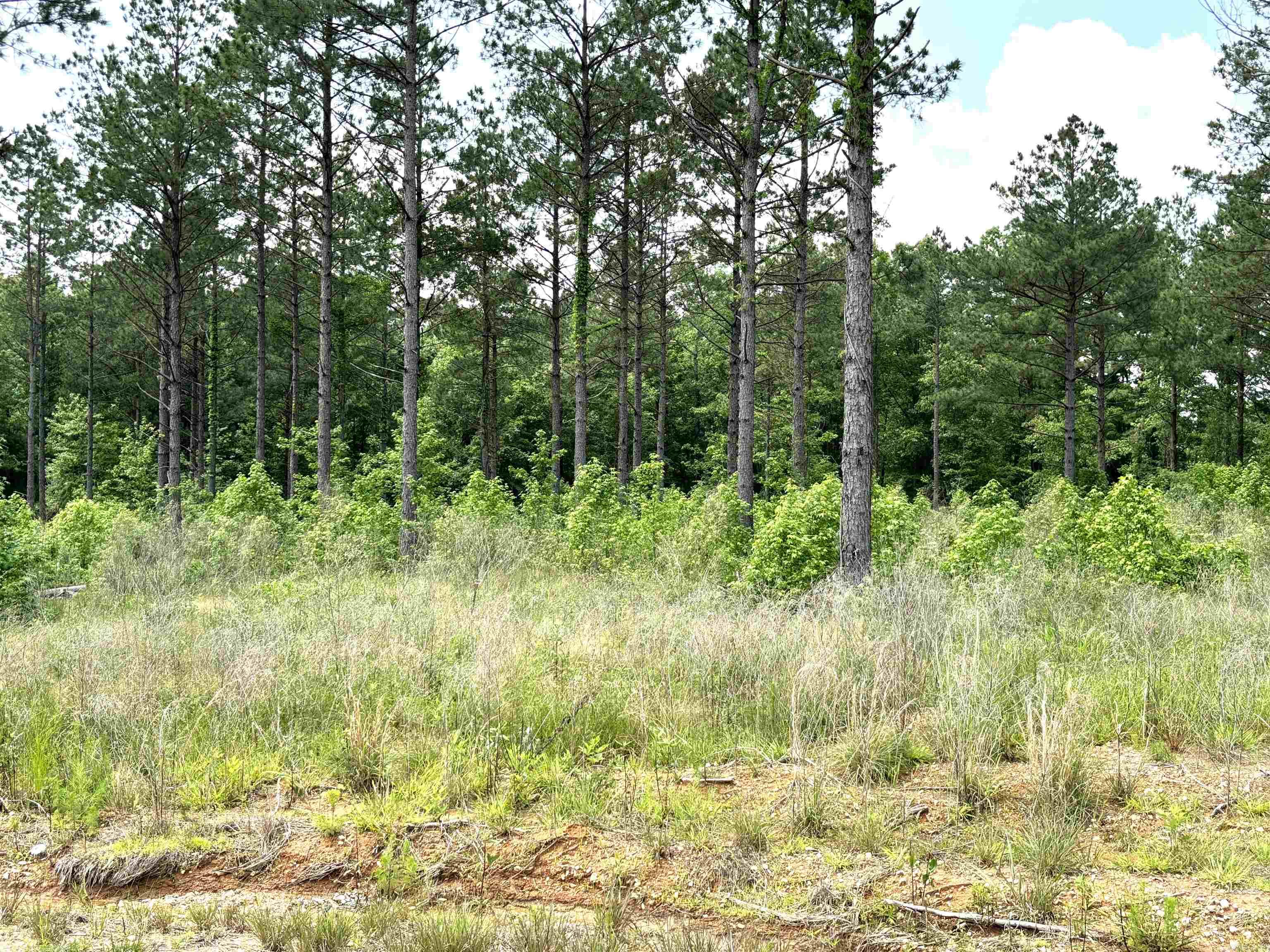 lot 16  Grant County Road 761  Sheridan, AR